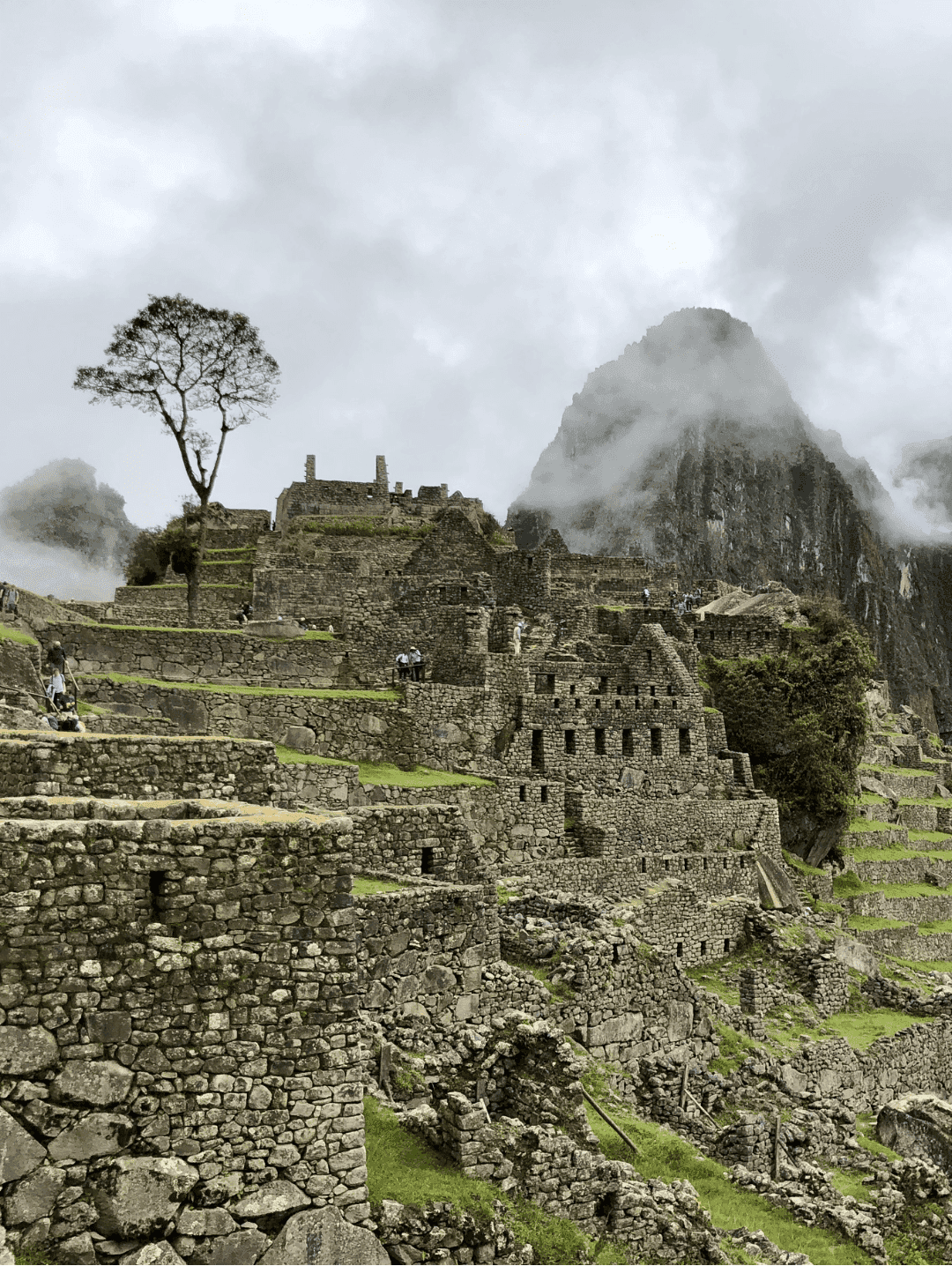 The stone structures of Macchu Pichu on a green hillside on a cloudy day