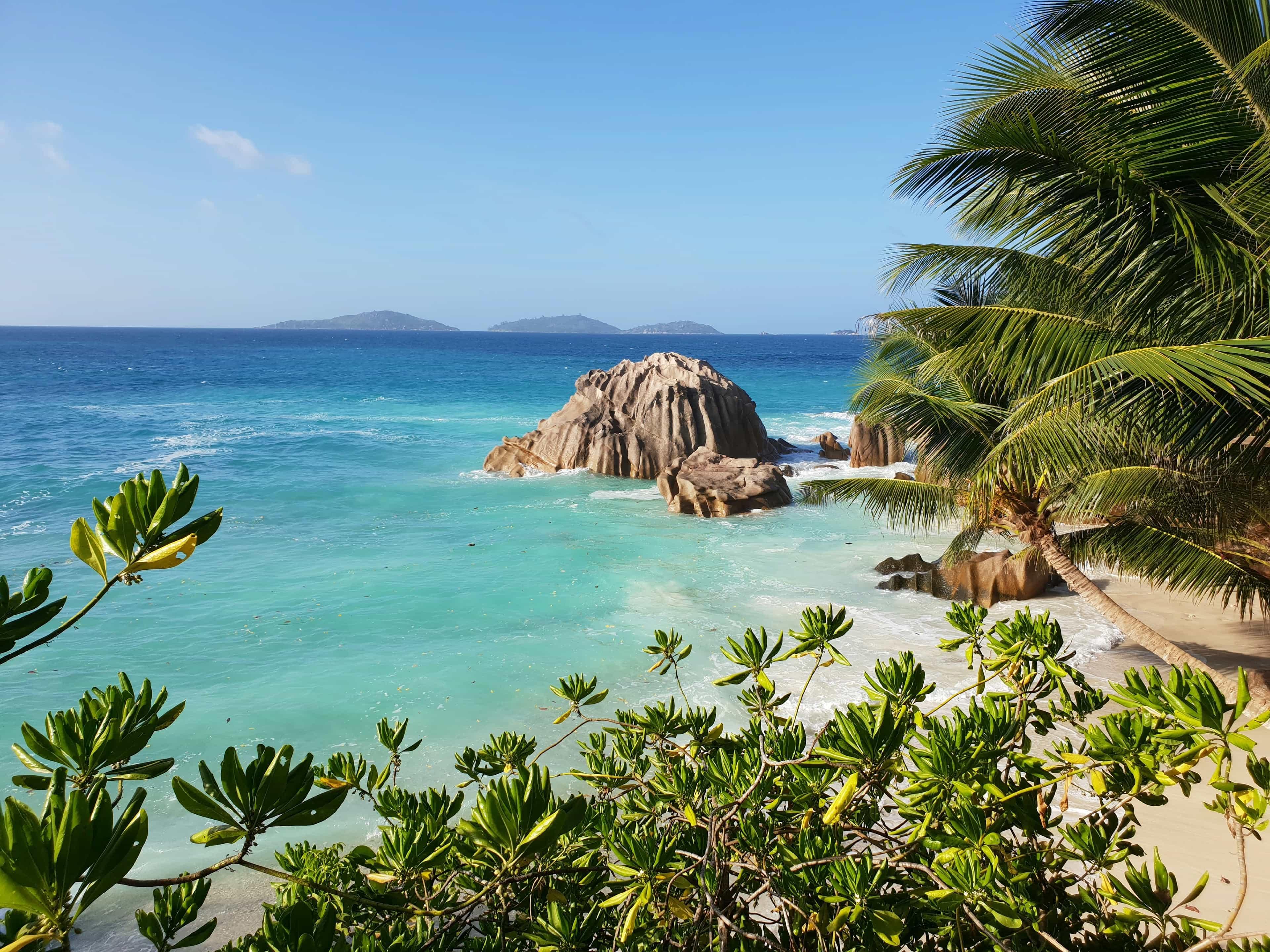 View of teal ocean waters and tropical trees with a rock outcrop at day