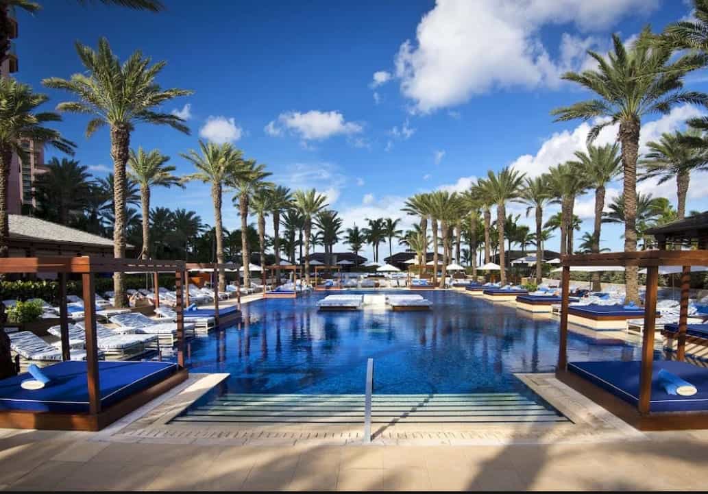 A hotel pool area lined with palm trees and loungers on both sides 