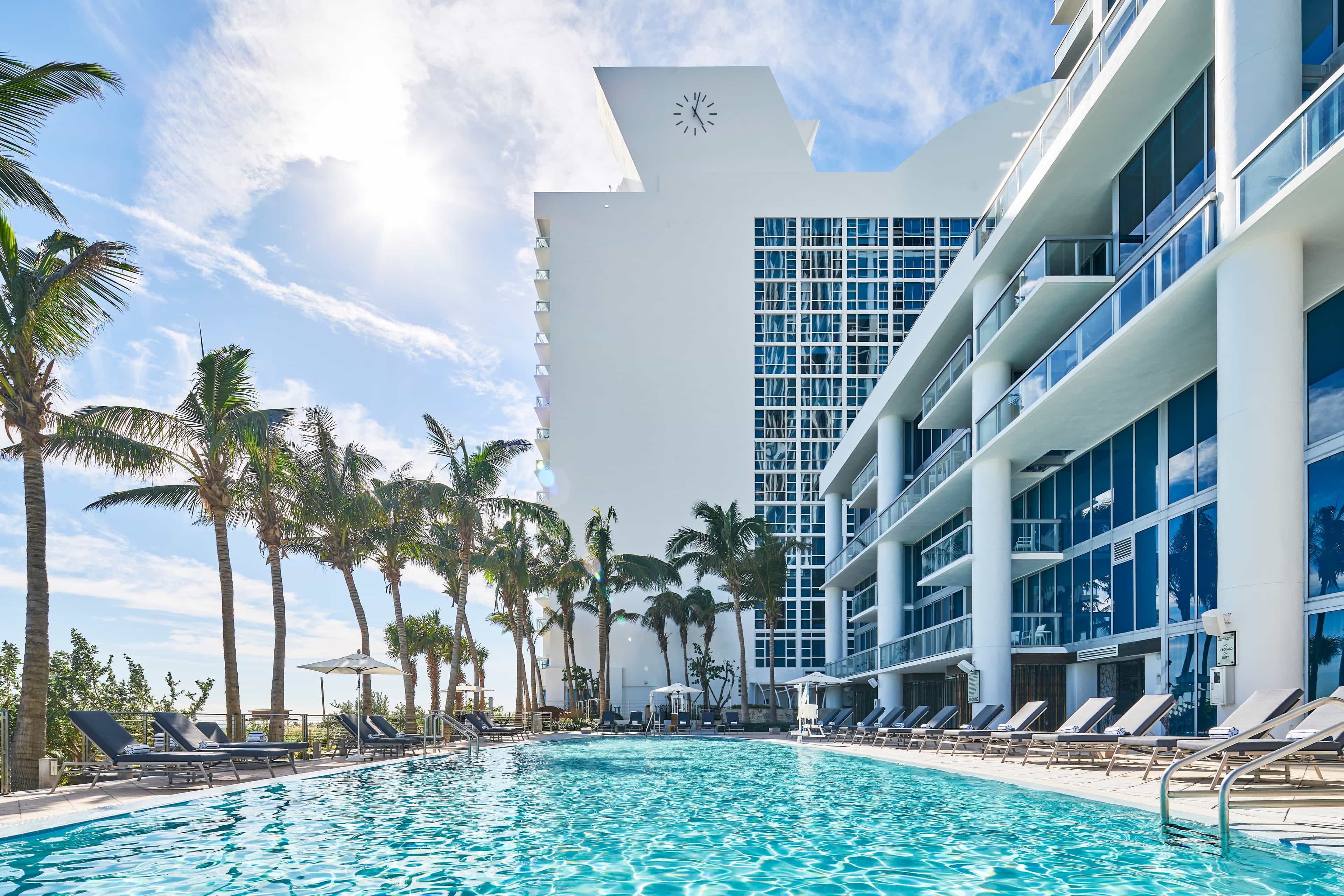 A hotel pool area overlooking Miami Beach with palm trees beside a white modern building