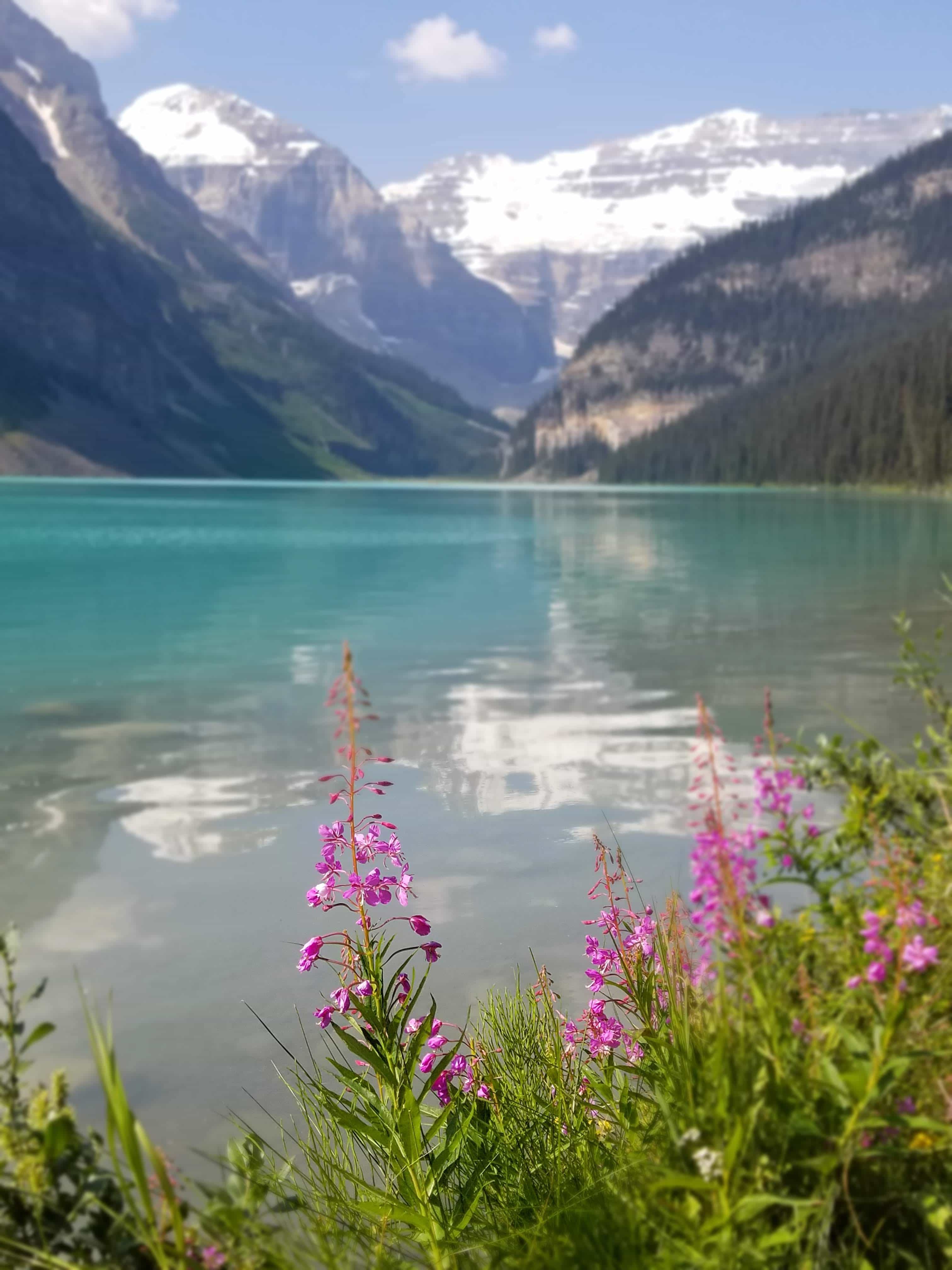 A beautiful view of a lake with snow-capped mountains in the background.