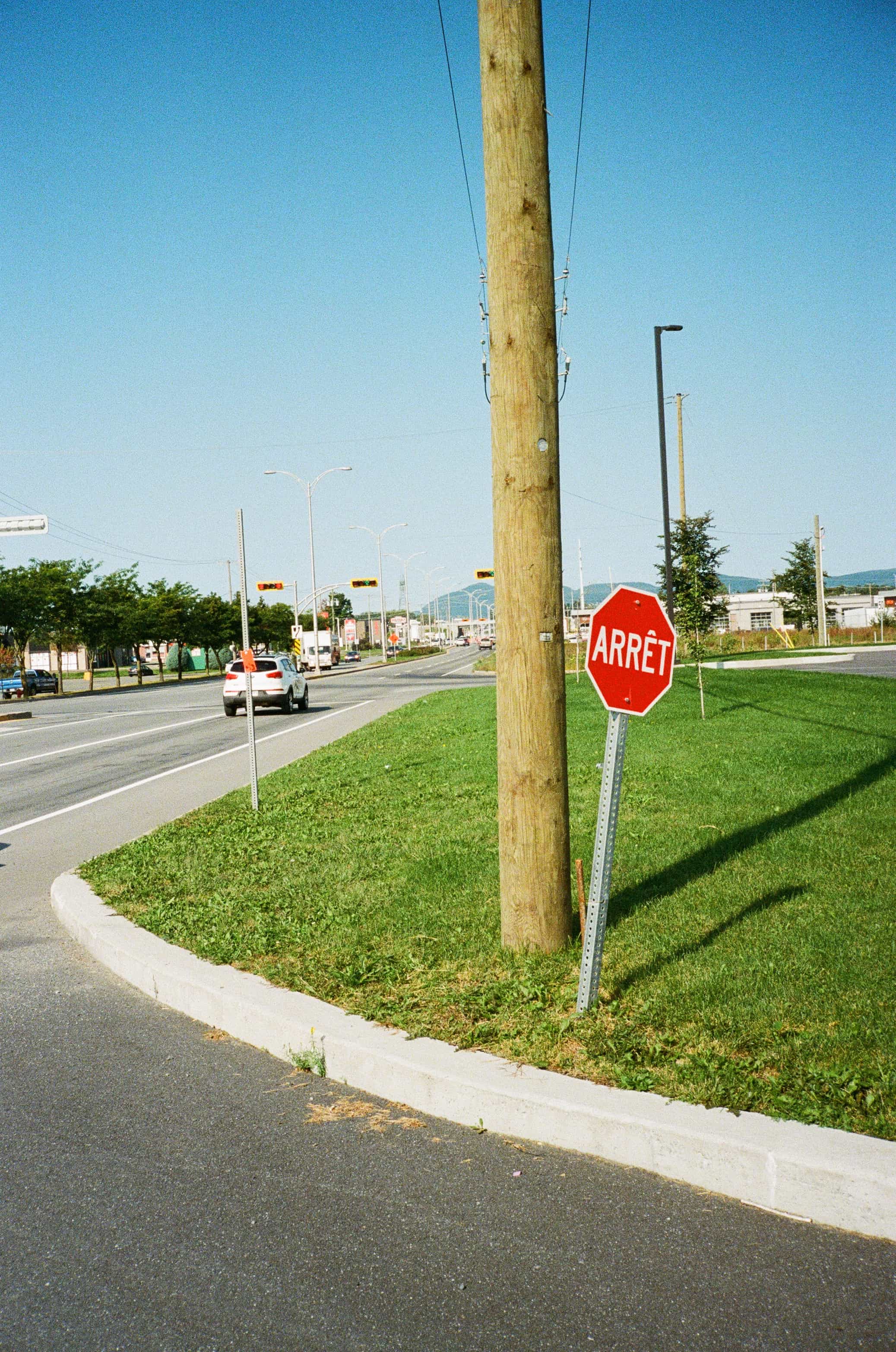 View of a stop sign on a grassy corner next to a road on a sunny day