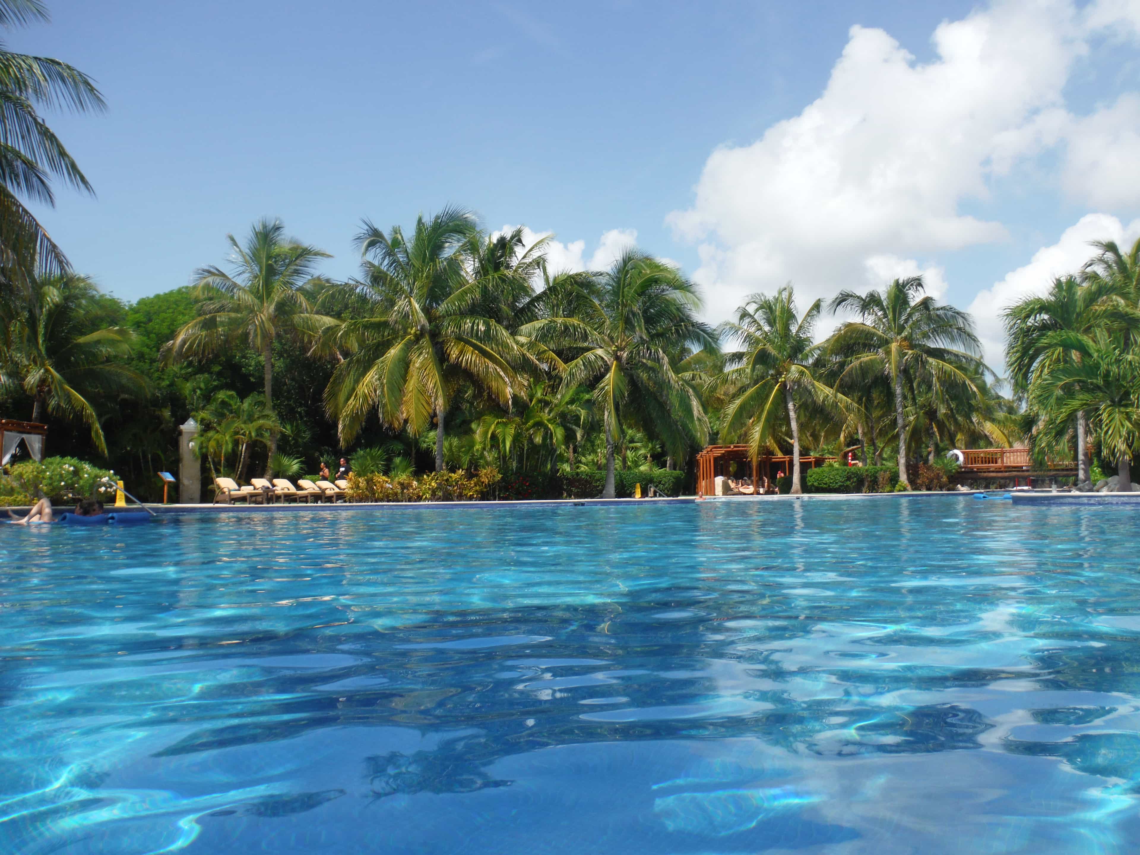 Palm trees over the clear water.