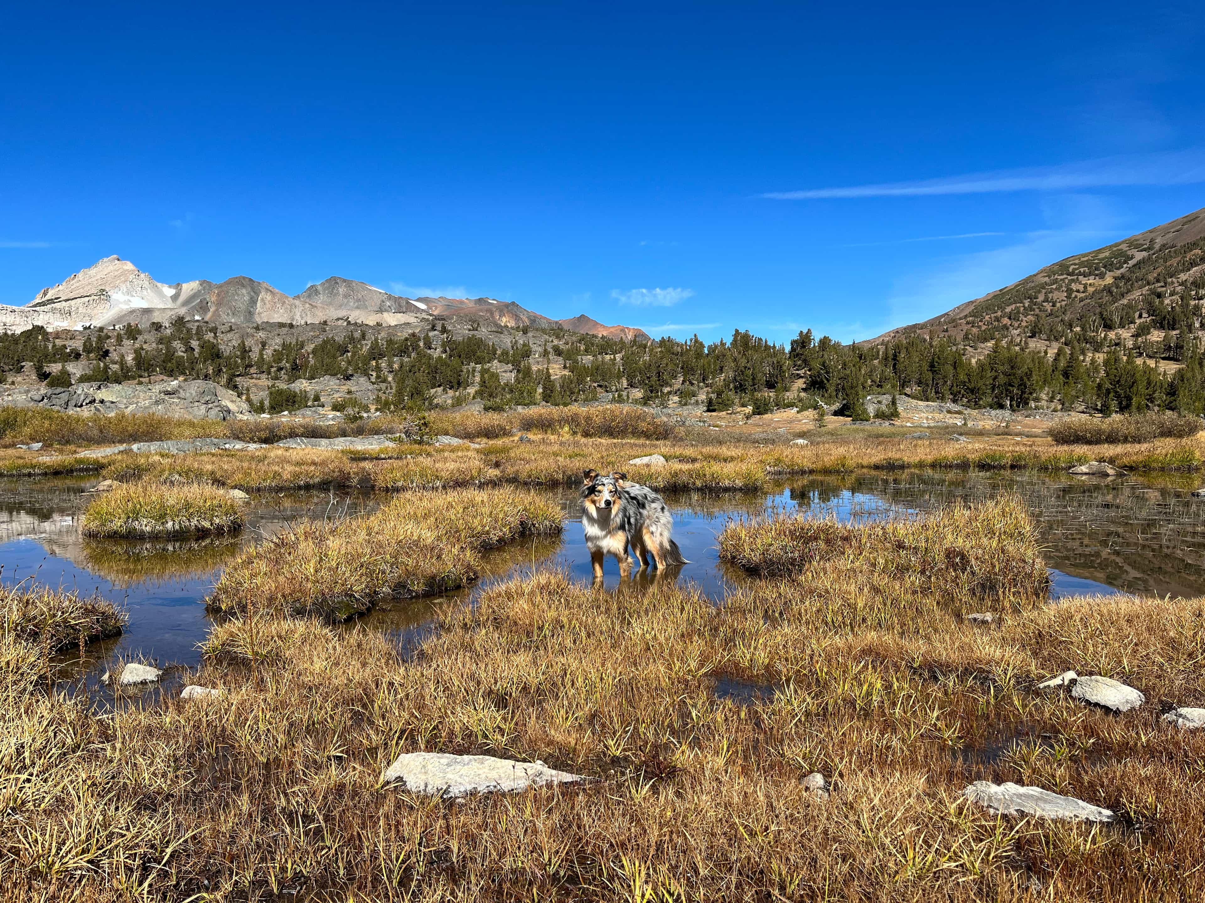 View of a beautiful natural landscape with mountains in the distance on a clear day