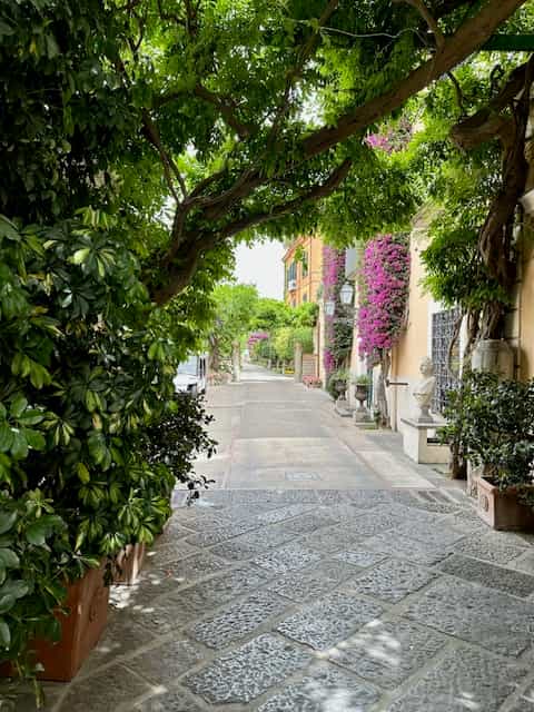Trees by a path.