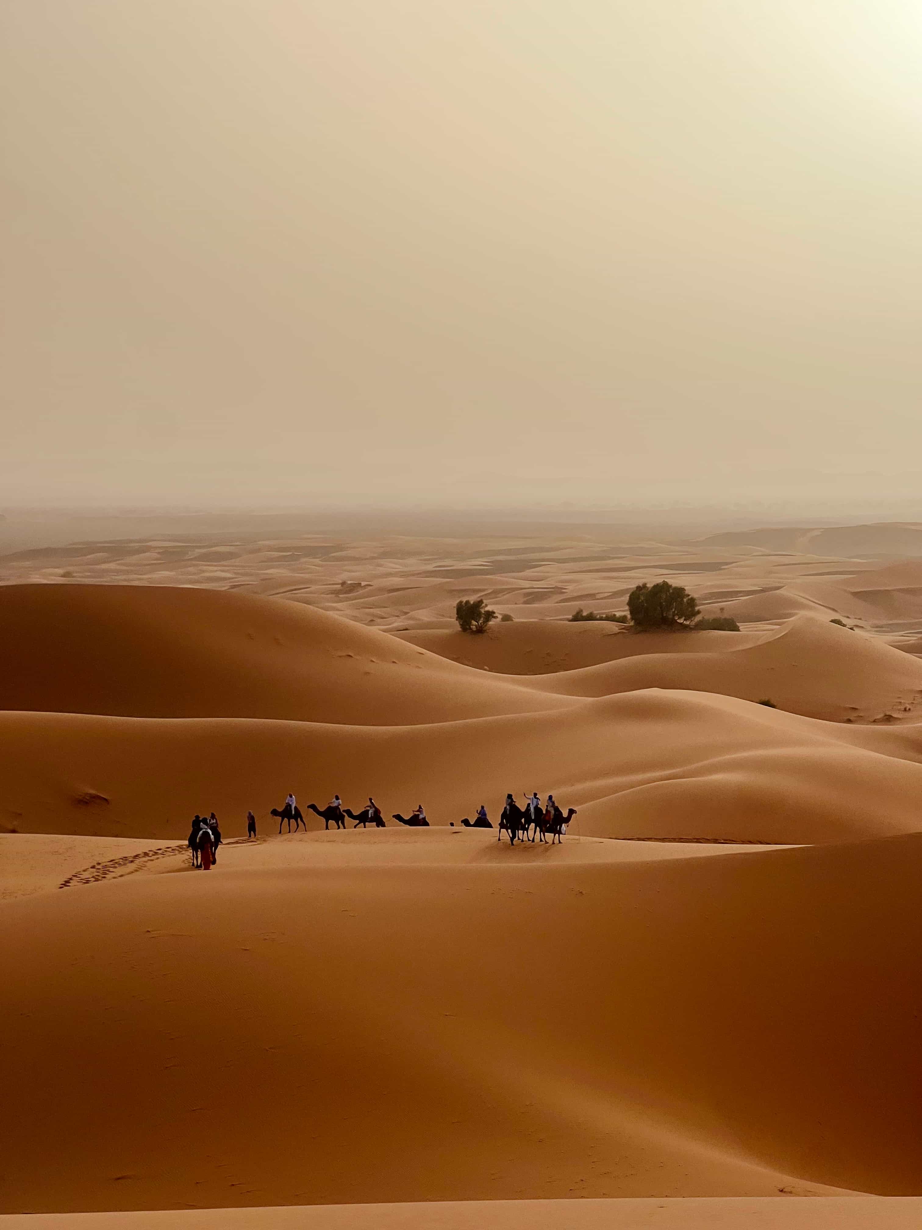 Desert.
