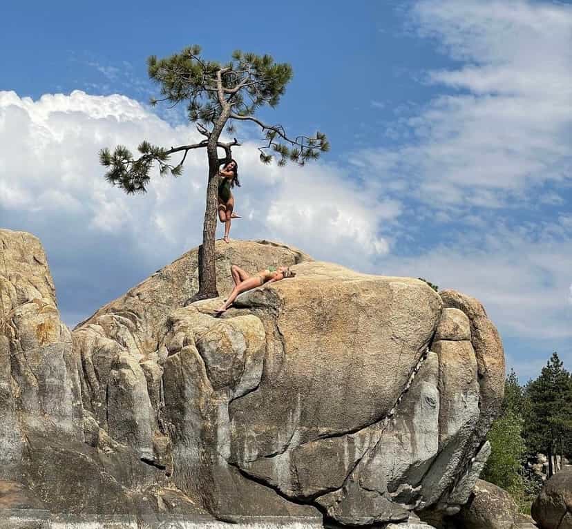 Tree on rocks.