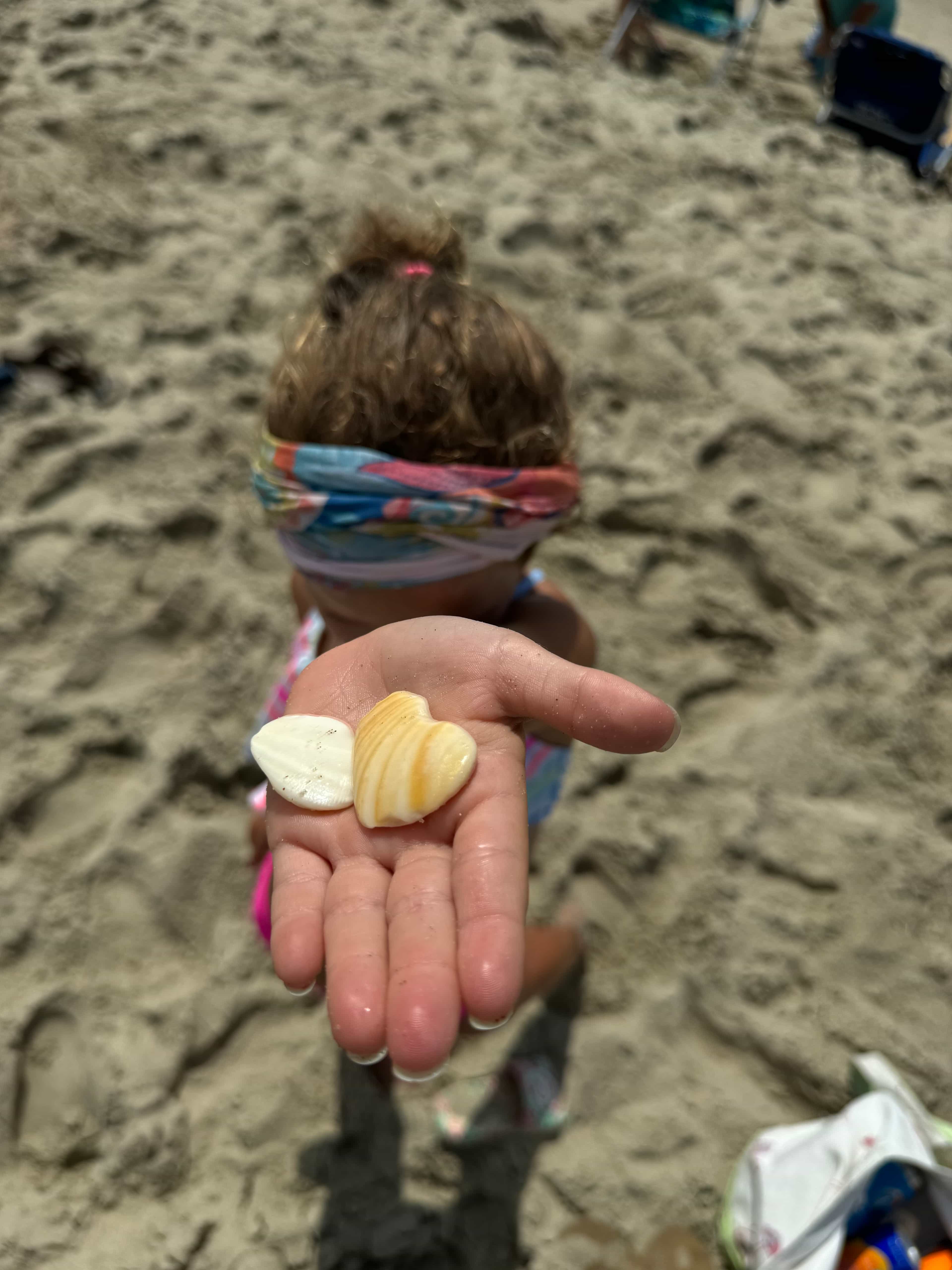 A young girl holding two shells in the palm of her hand