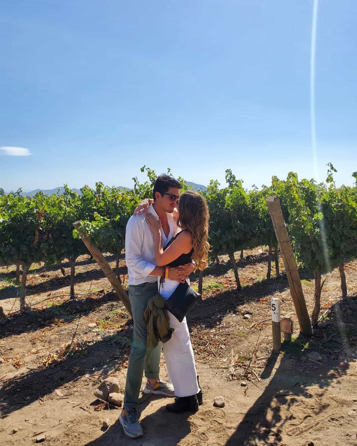 A couple standing in a vineyard on a sunny day. 