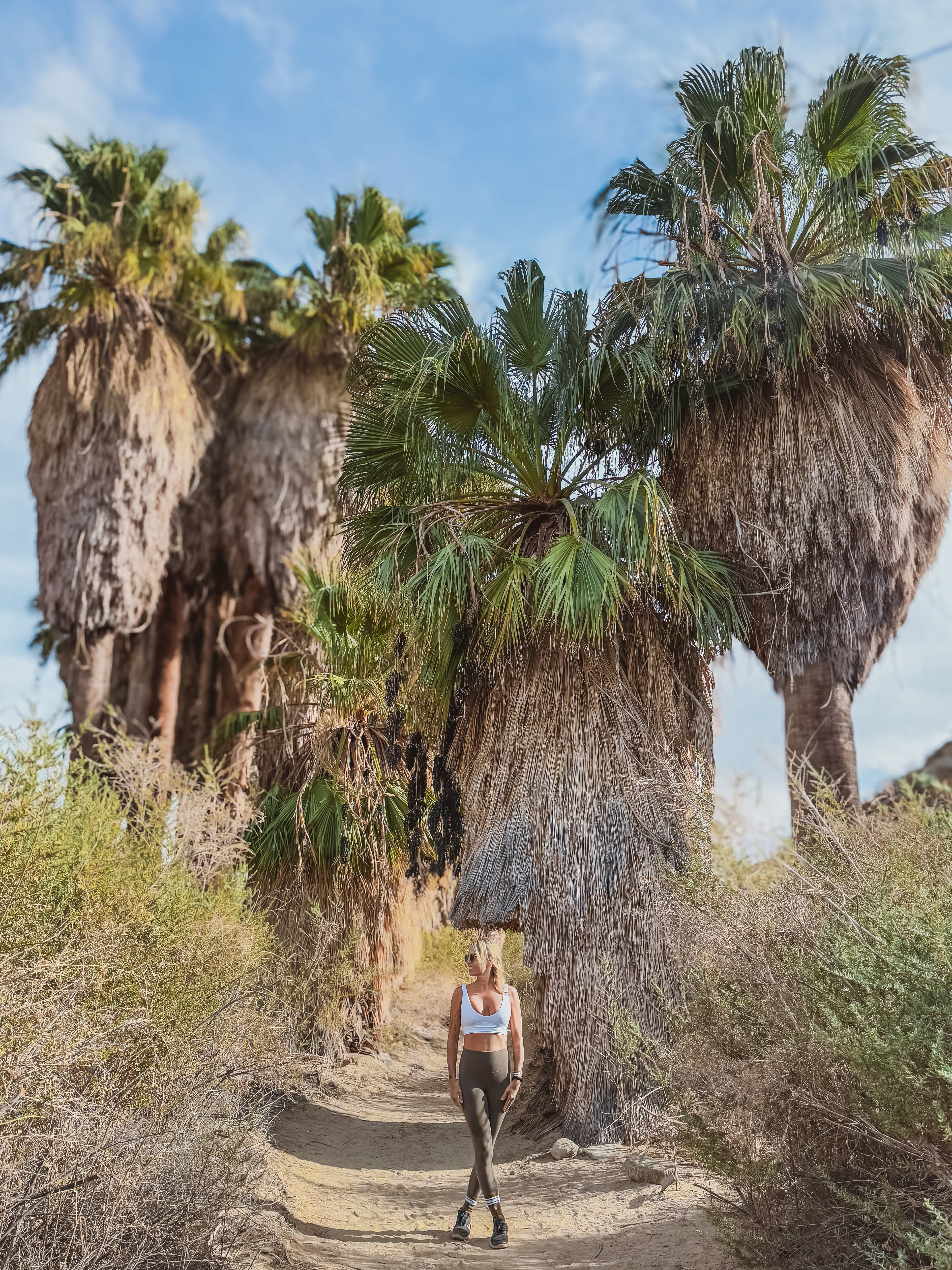 A Wellness Lover’s Guide to Palm Springs curated by Jaimie Bayer