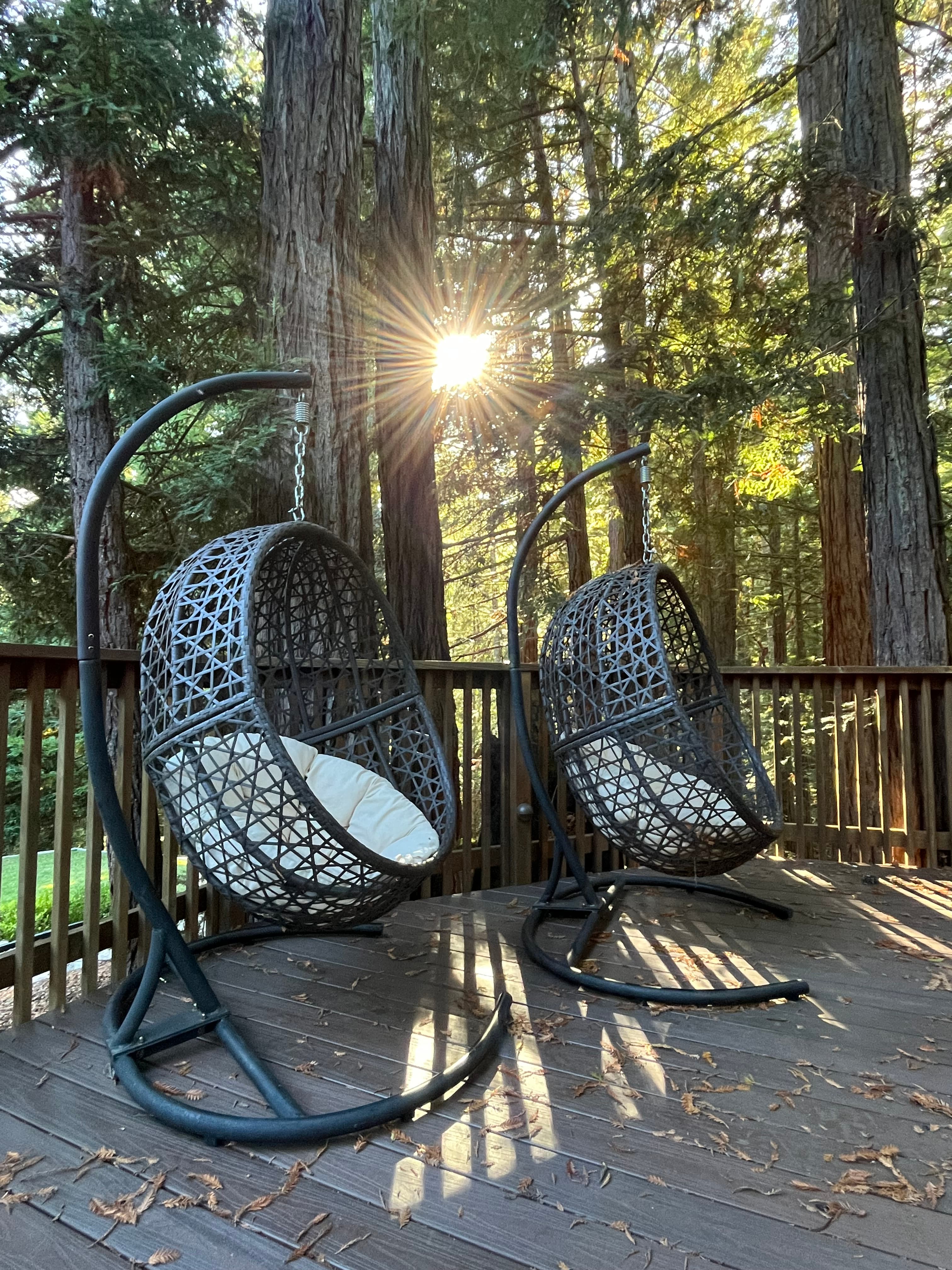 Pretty view of two hanging chairs with cushions outside on a wooden deck with the sun streaming through trees behind them