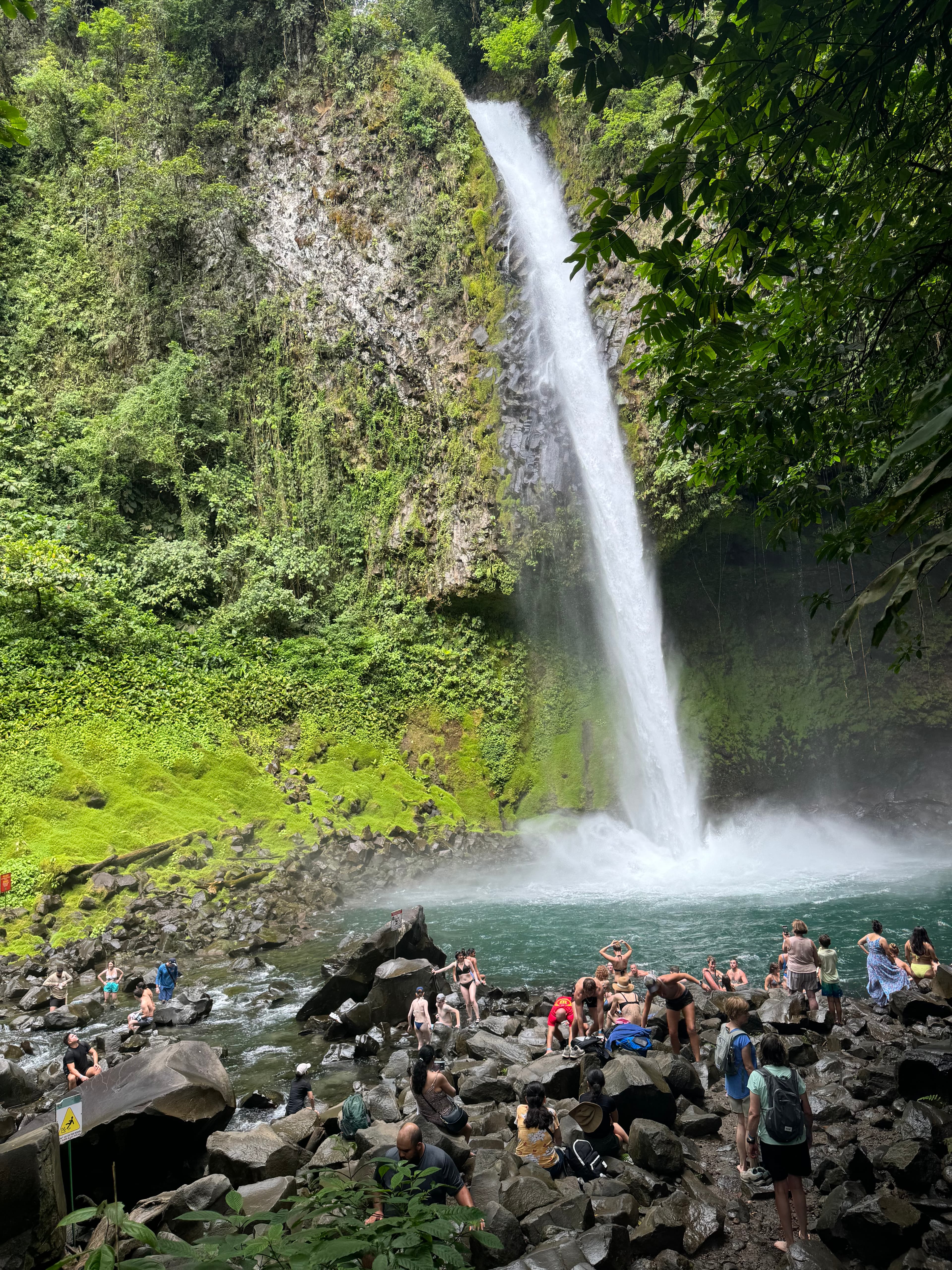 View of a beautiful waterfall pouring into a small swimming hole surrounded by plants, rocks and a few people