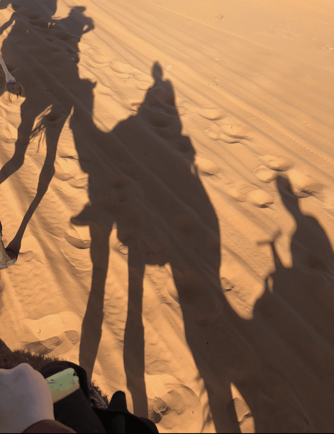 View of the shadows of three people on camelback in the desert