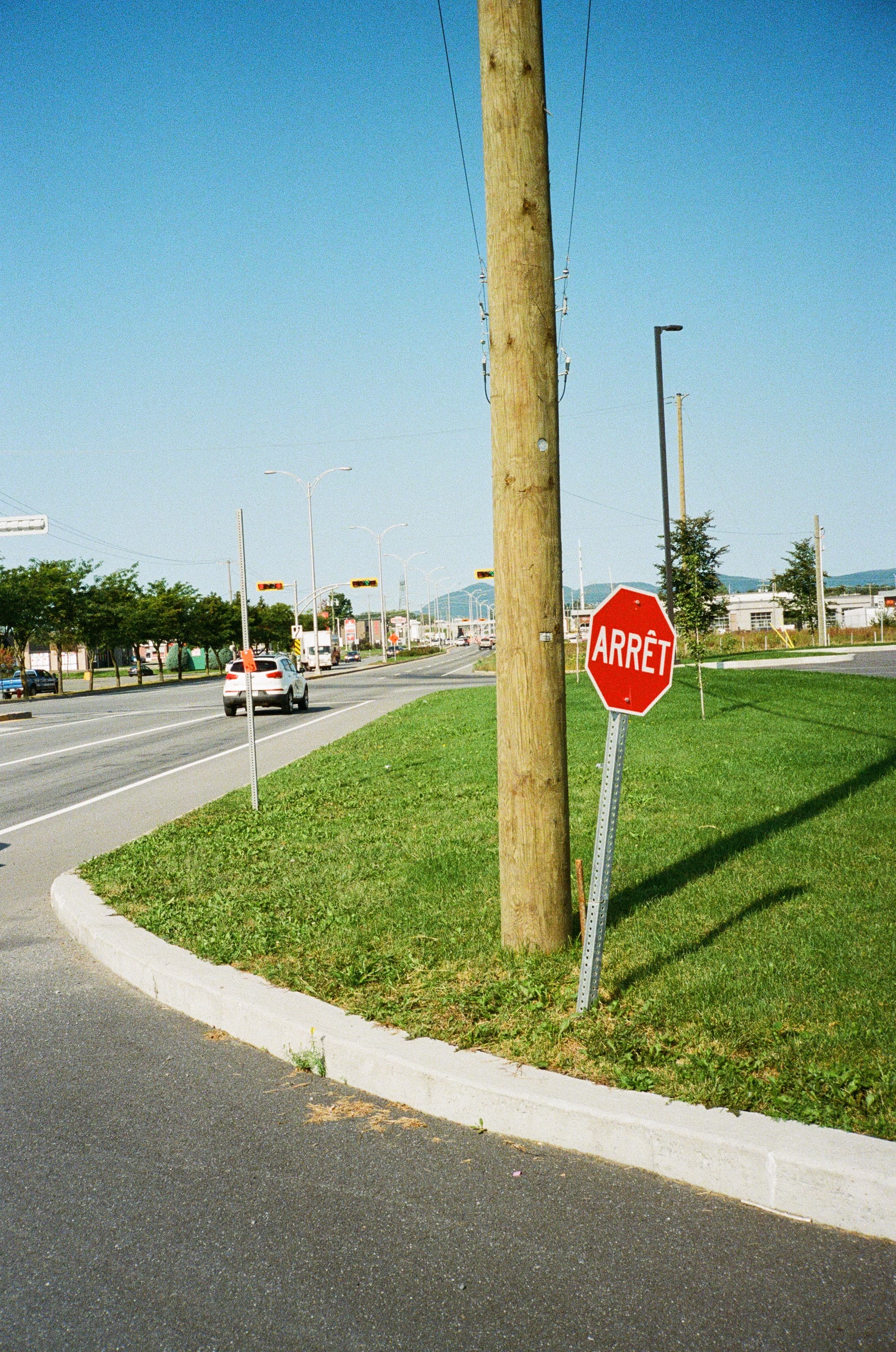 View of a stop sign on a grassy corner next to a road on a sunny day