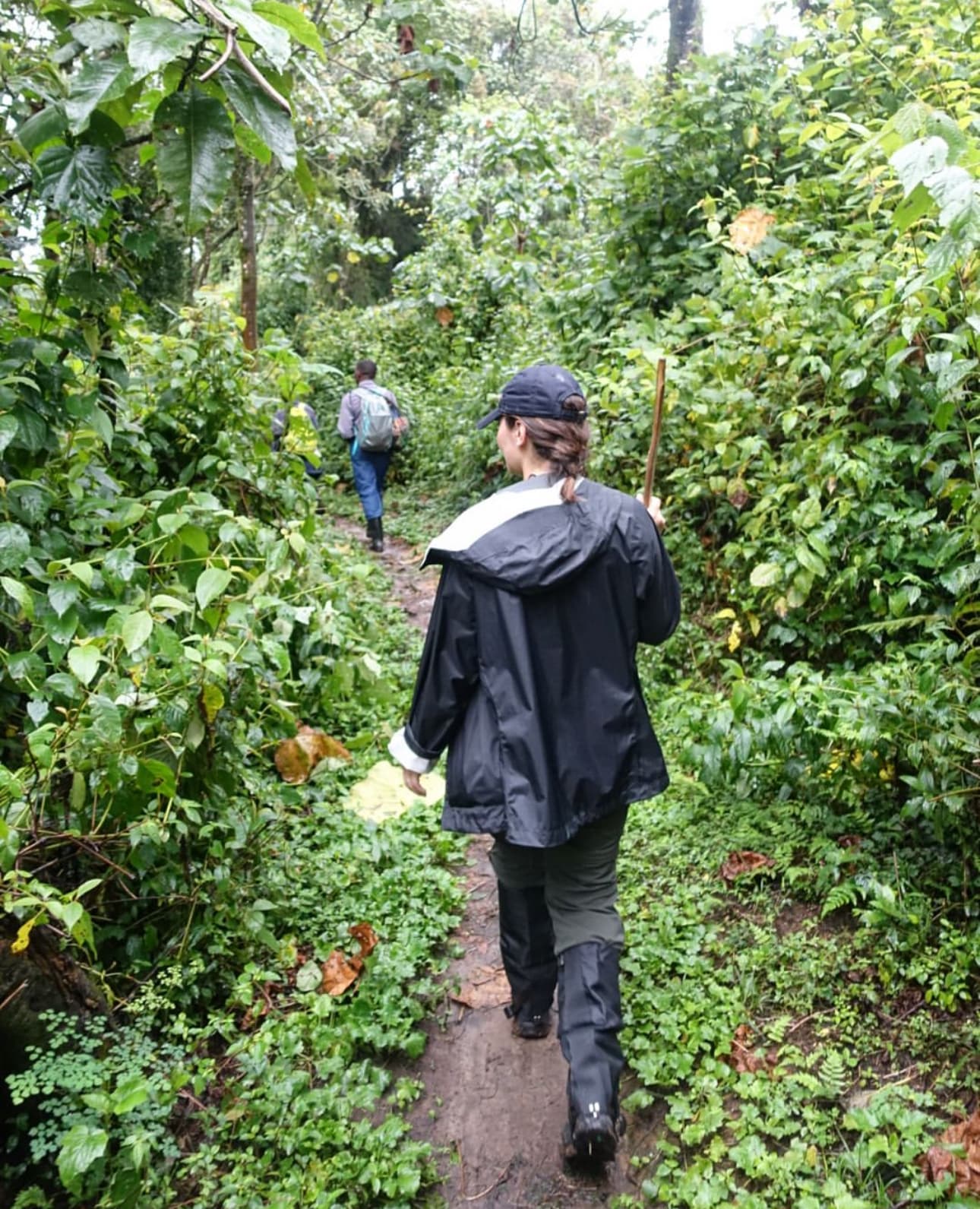 Advisor in a raincoat and hiking boots walking on a narrow path through a tree-filled landscape