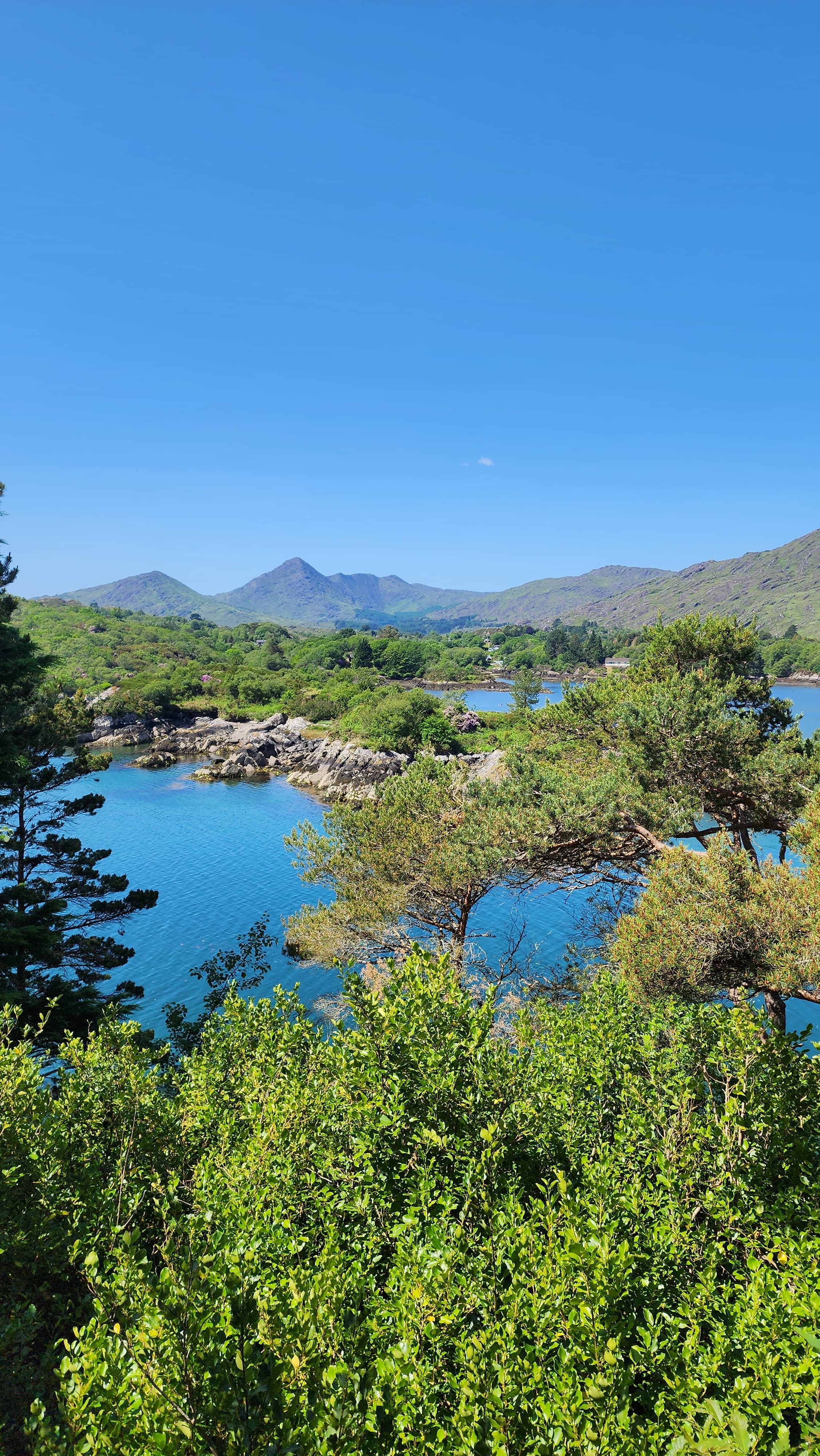 Beautiful view of a lake surrounded by trees and mountains in the distance on a sunny day