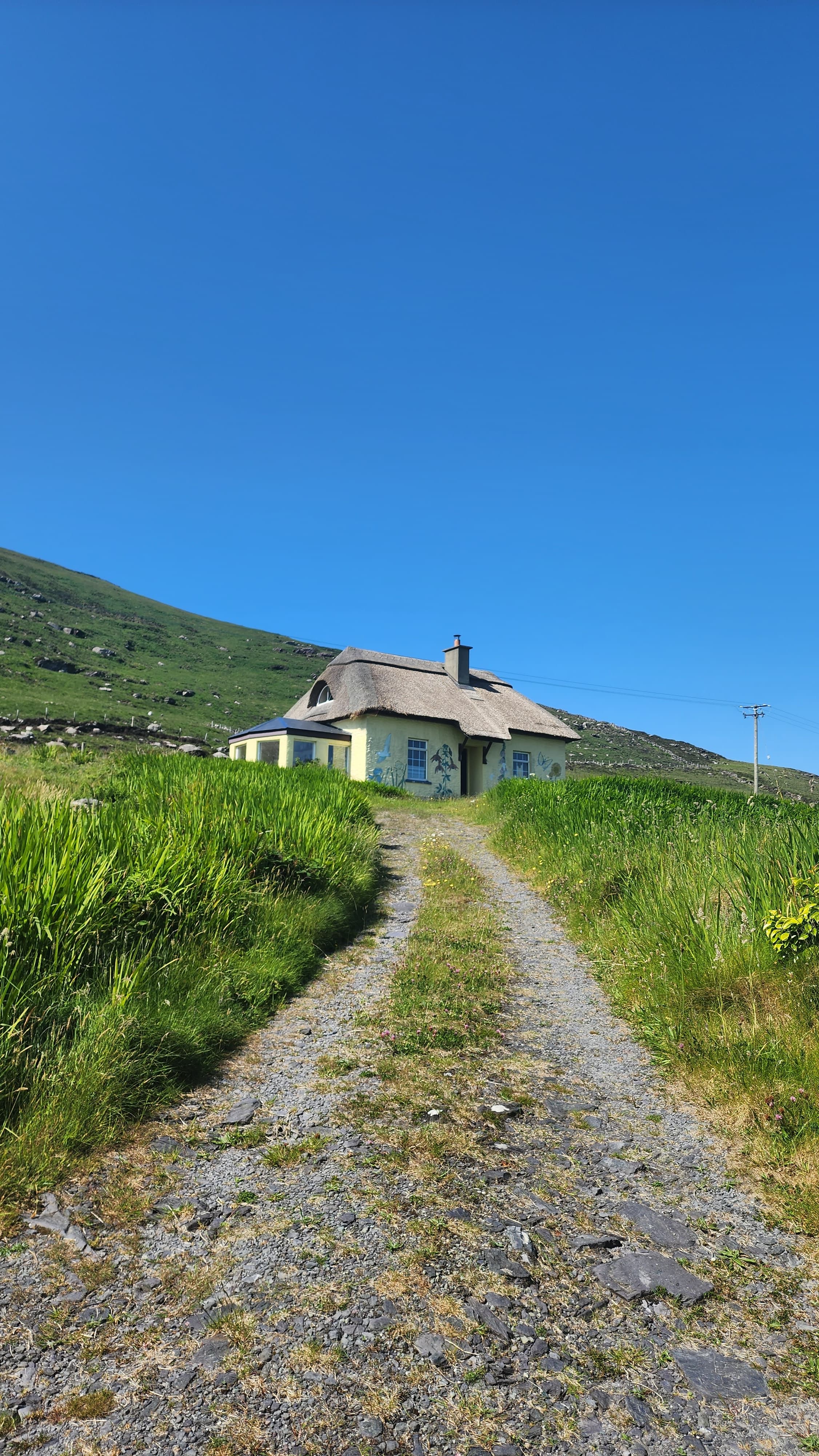 Narrow gravel pathway in between grassy fields leading to a small white building under clear skies