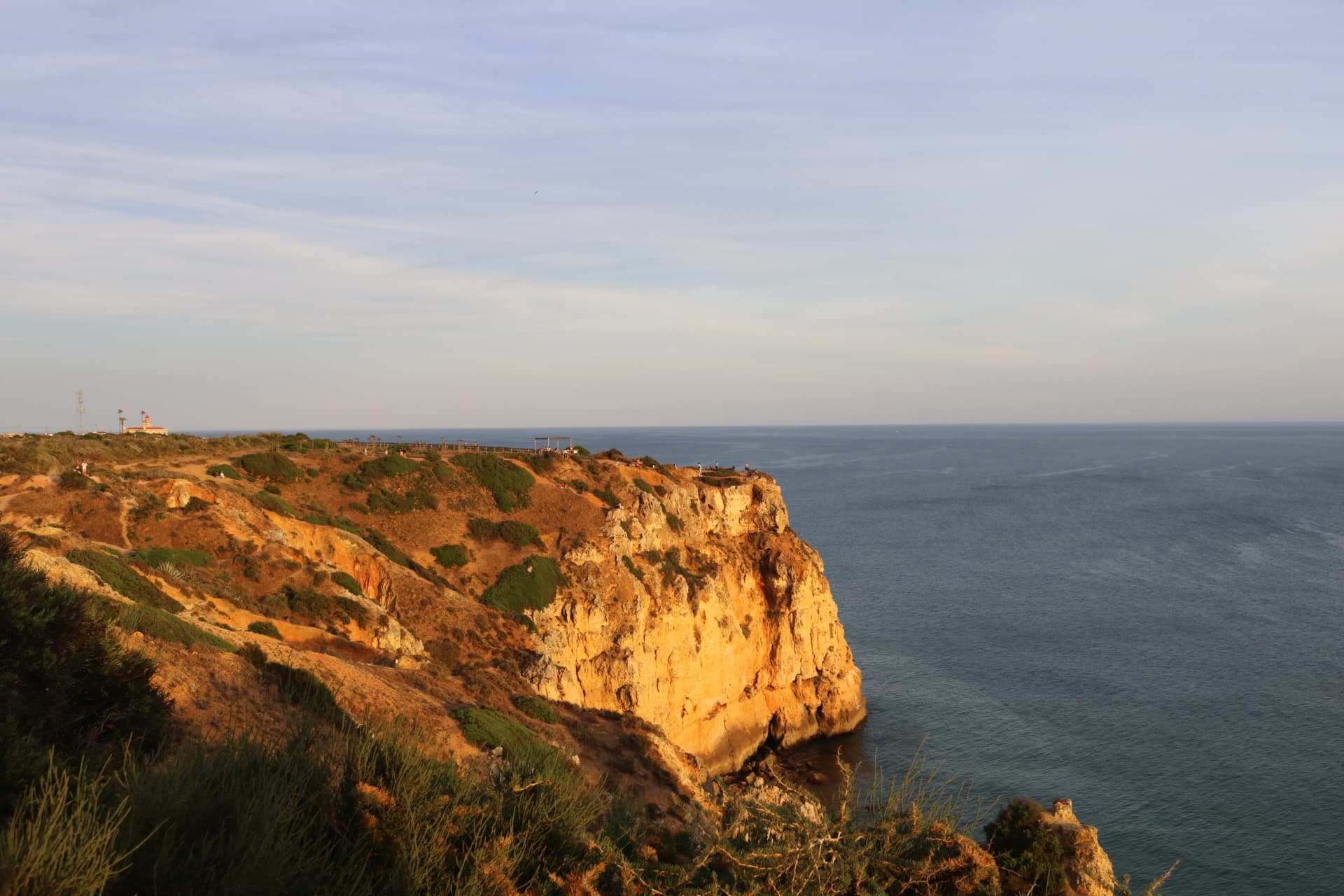 Coastal cliffs with green grass with the ocean in the background.