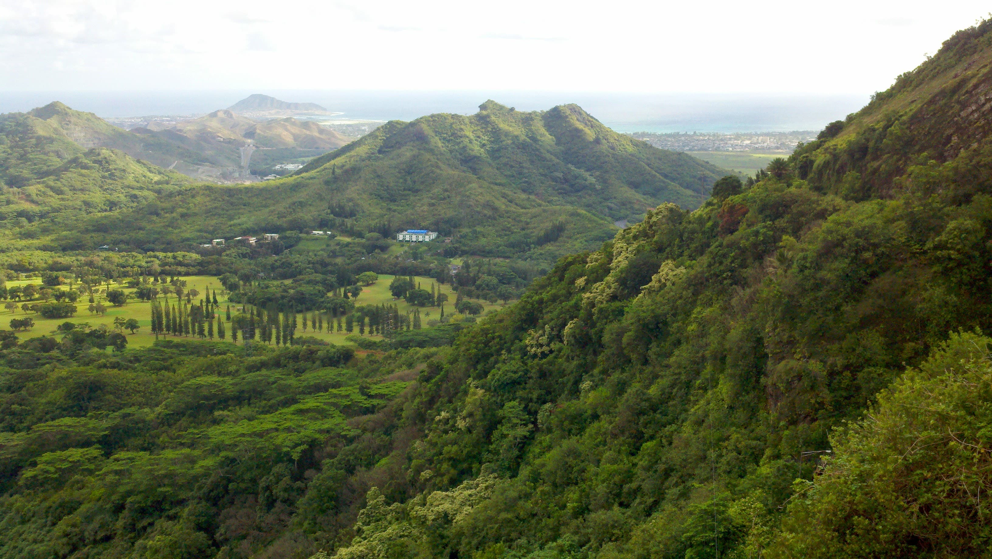 A view of a valley covered in foliage on a sunny day. 