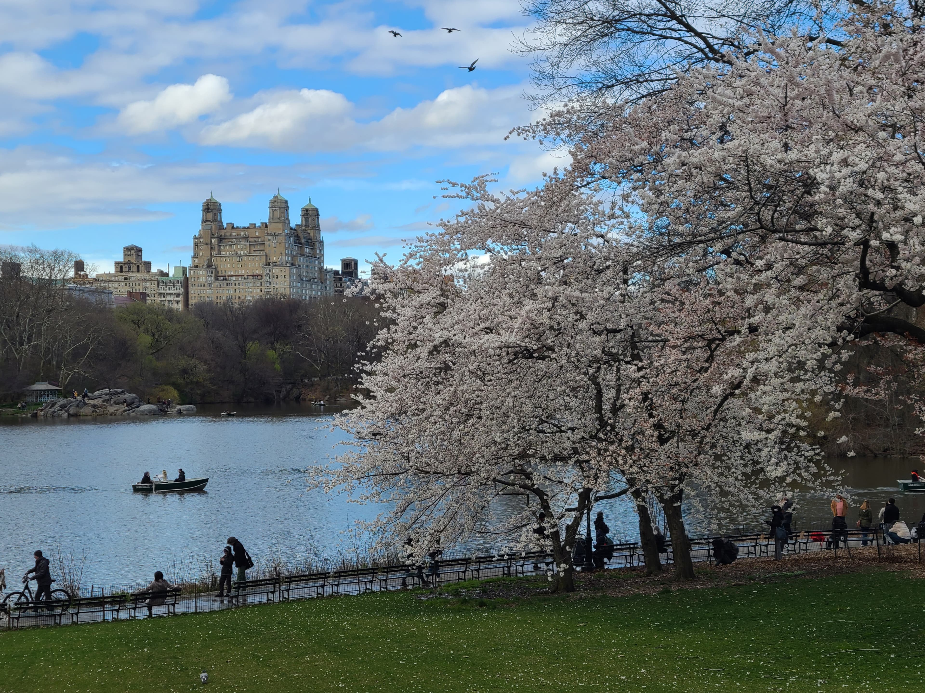 A view of a park on a sunny day. 