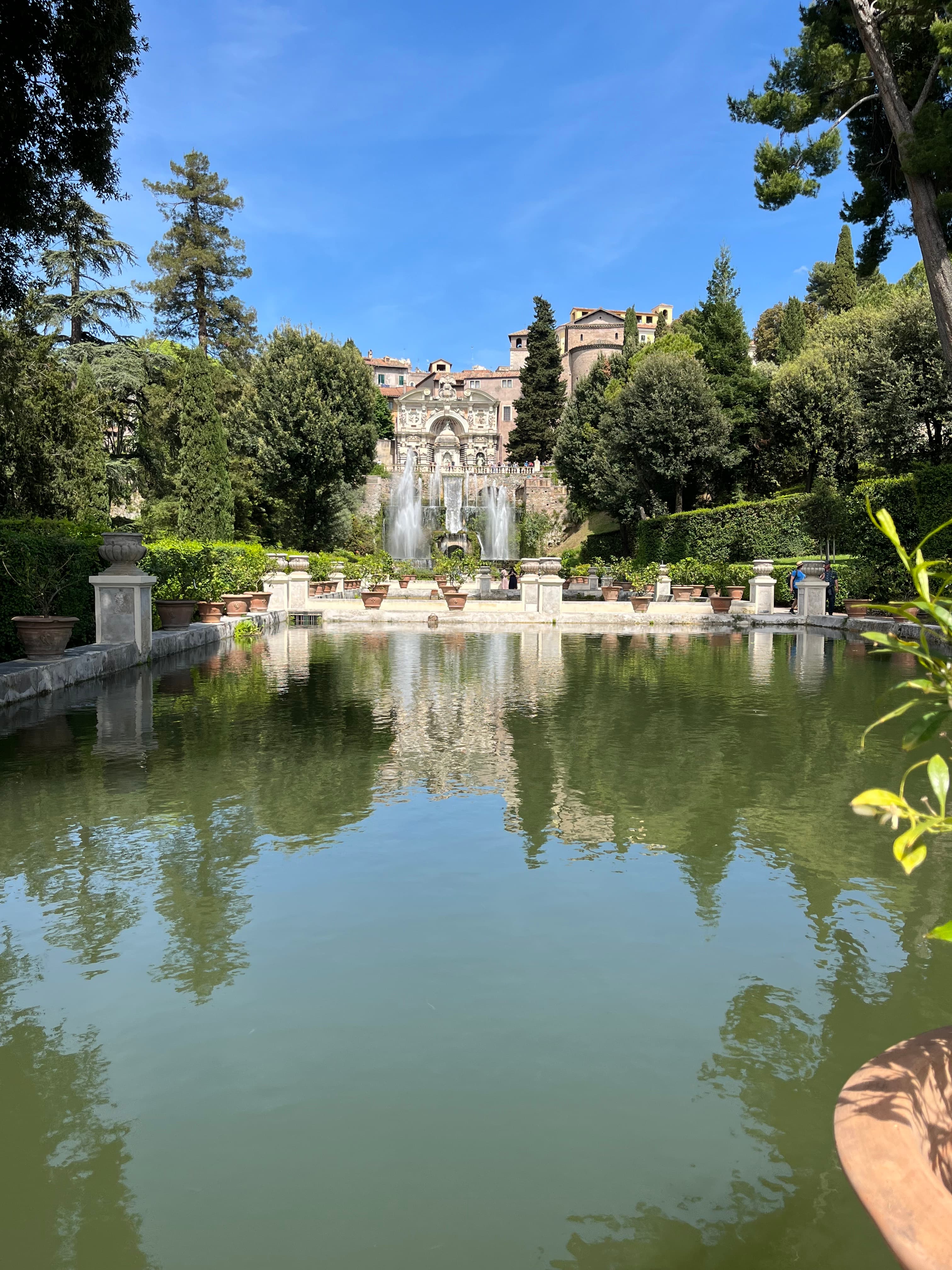 View of a rectangular pond set amidst a garden and trees, buildings visible in the distance