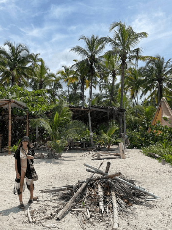 Palm trees by the beach.