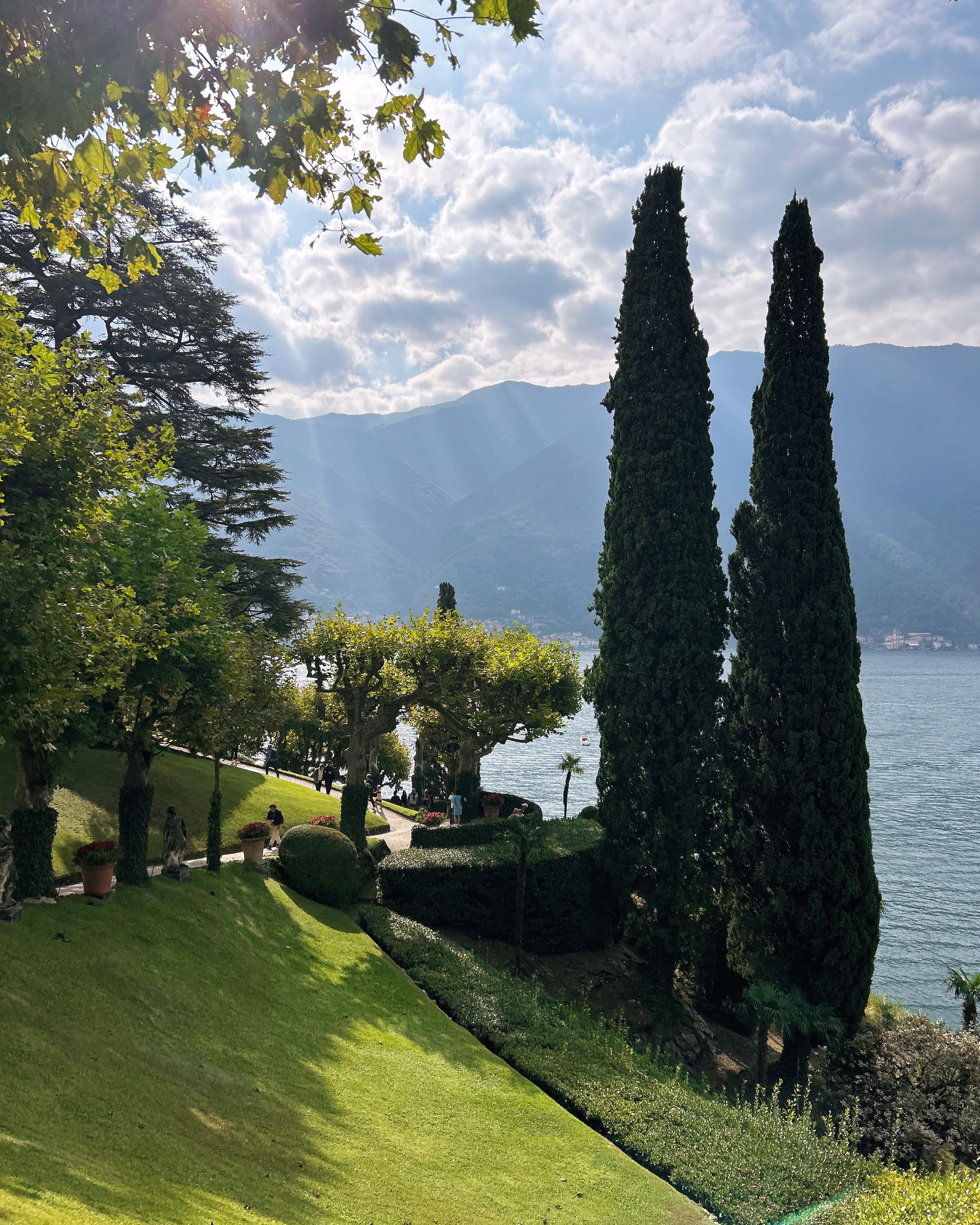 Sunset over the trees.