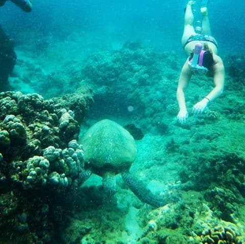 Angie diving underwater on the seafloor.