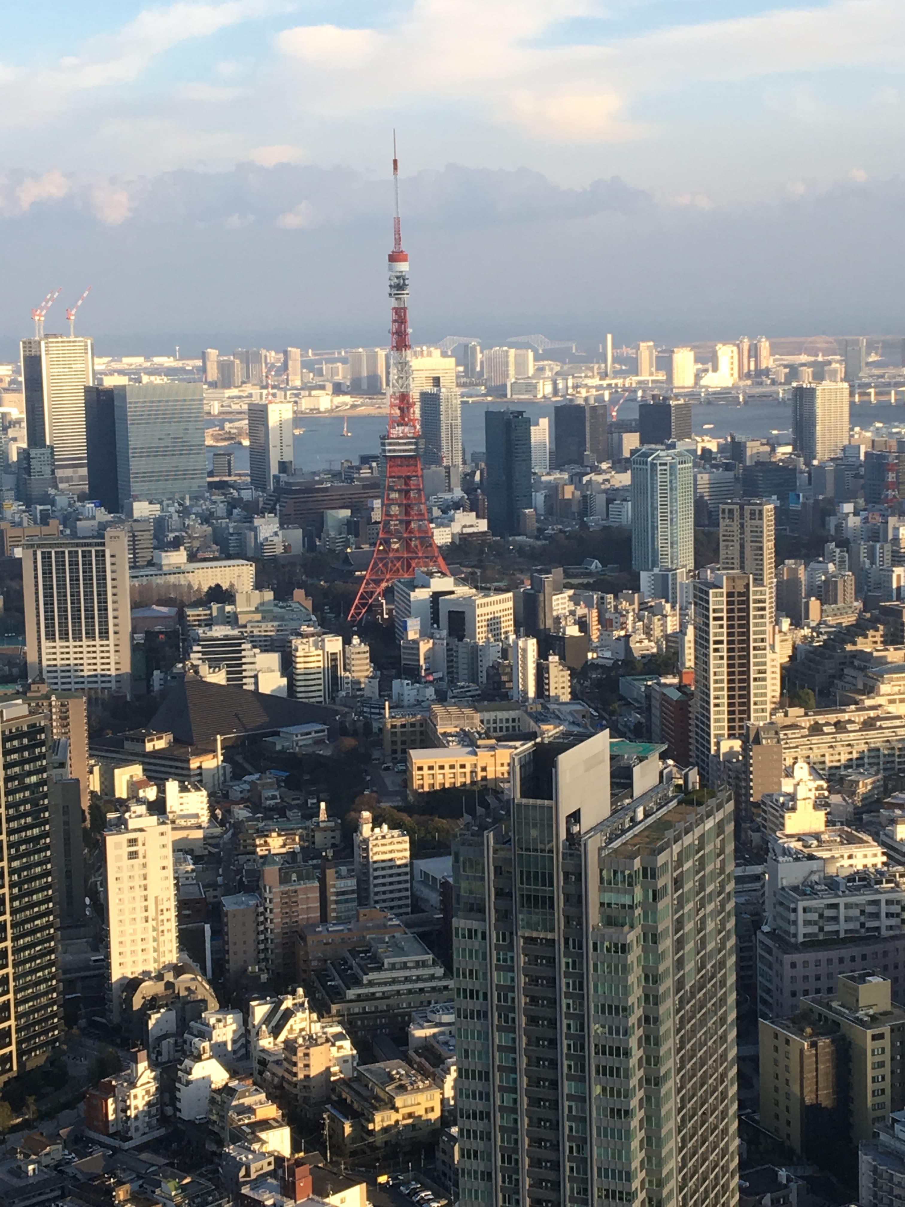 A skyline of skyscrapers in a dense cityscape.