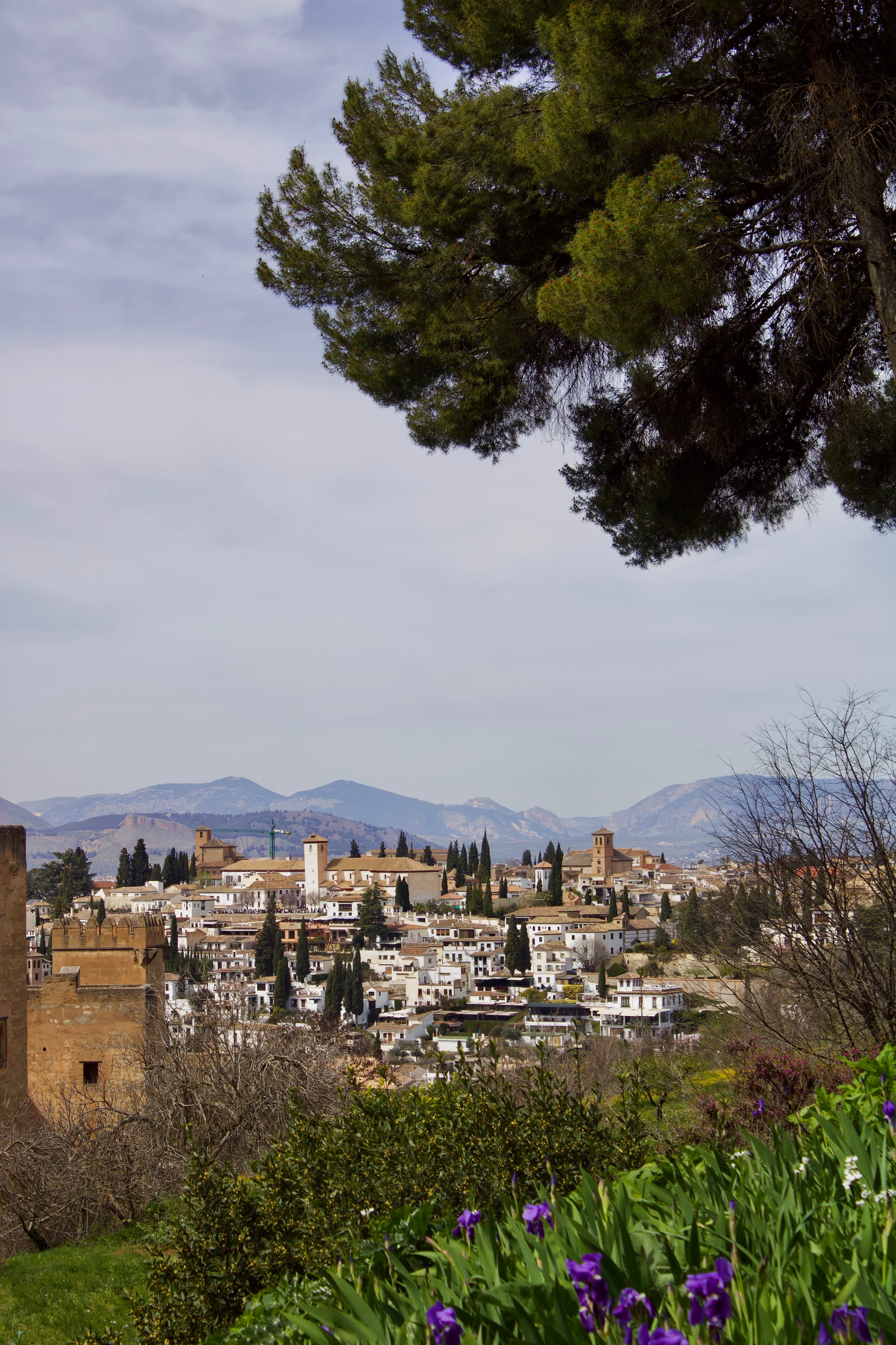 A picturesque view of lush green hills under a bright sky, with the city in the background.
