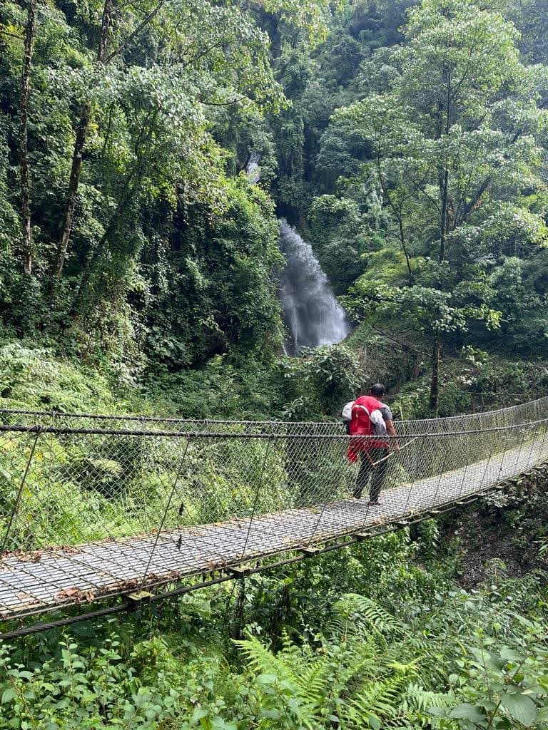 Advisor crossing a wooden bridge in a lush green forest.