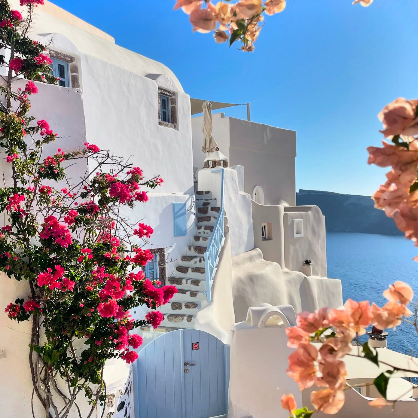 View of flowers in bloom with white-washed buildings overlooking the sea in the background
