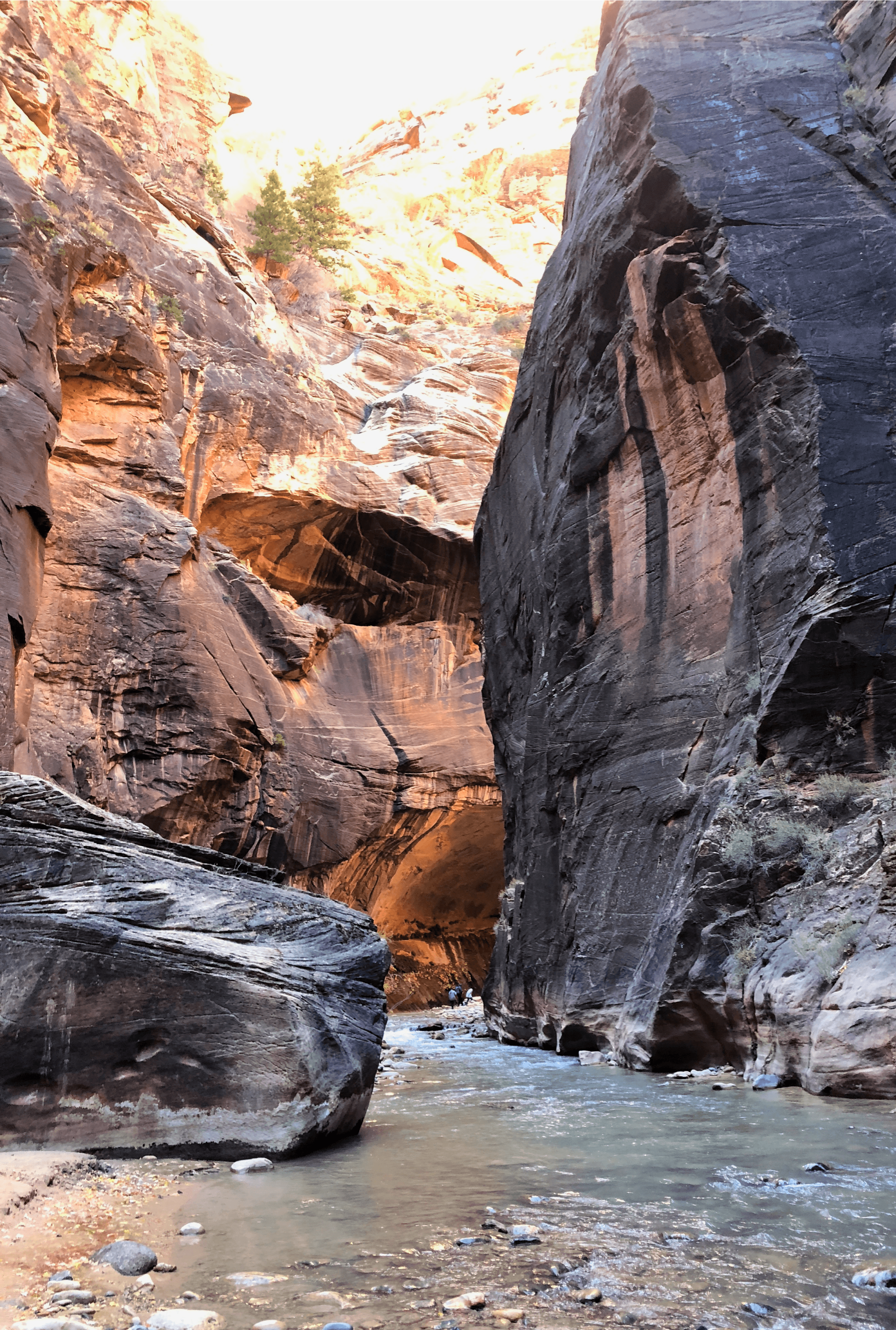 View of a shallow river in a mountain gorge on a sunny day