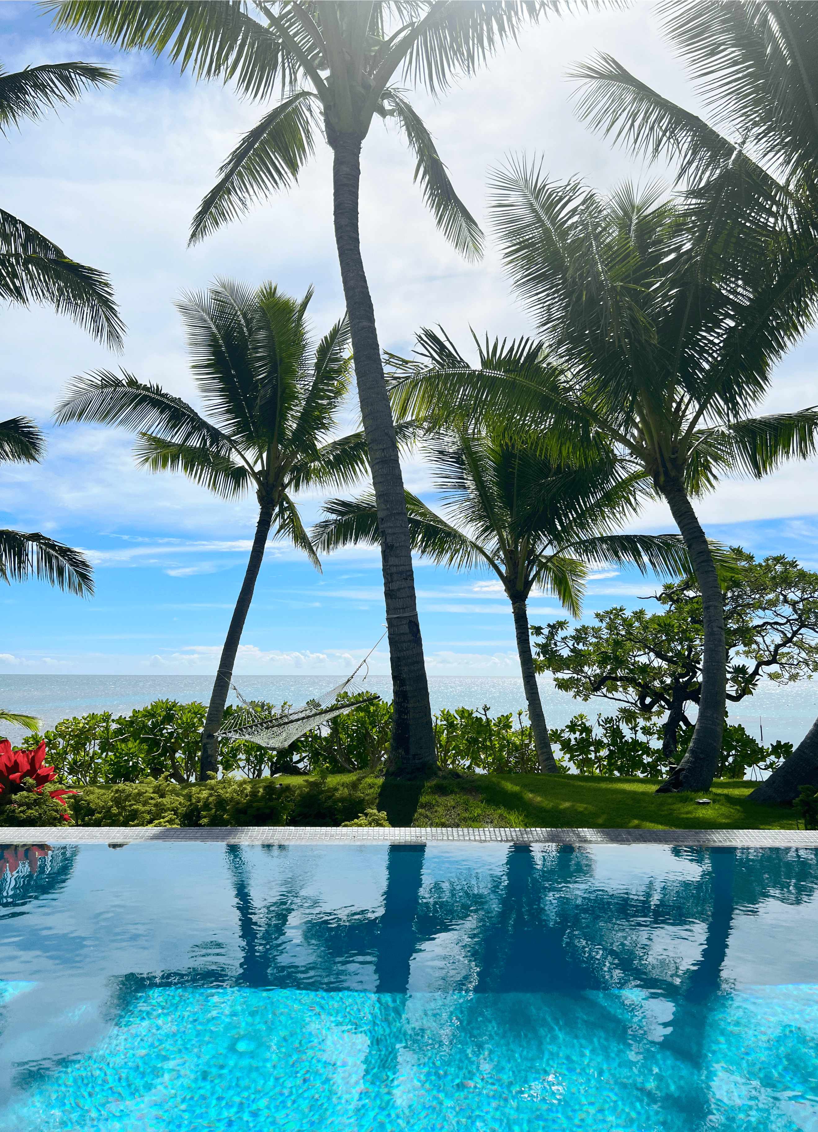 View of a resort infinity pool overlooking palm trees and the sea in the distance