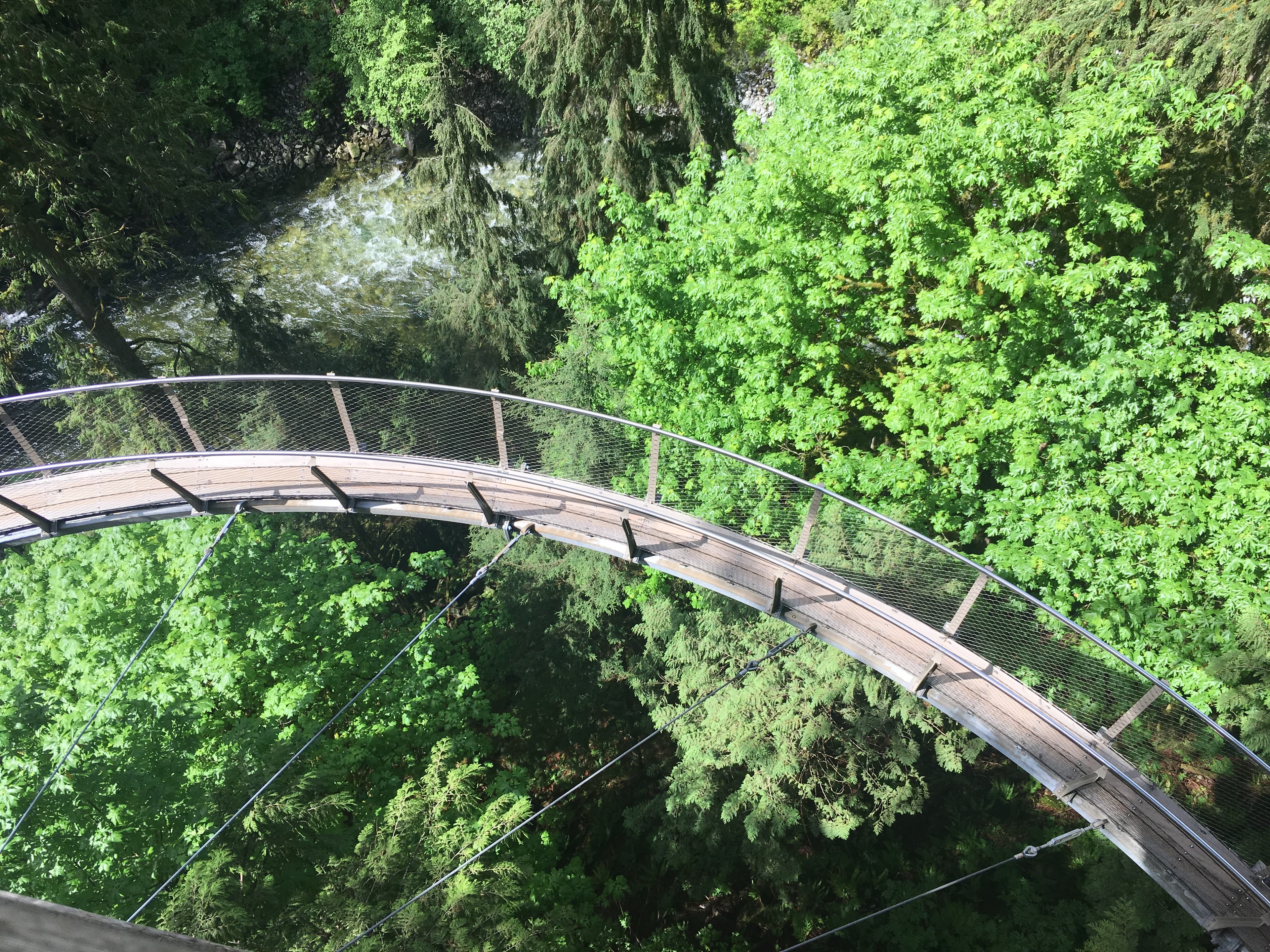 Aerial view of a curved bridge over trees in the forest on a sunny day