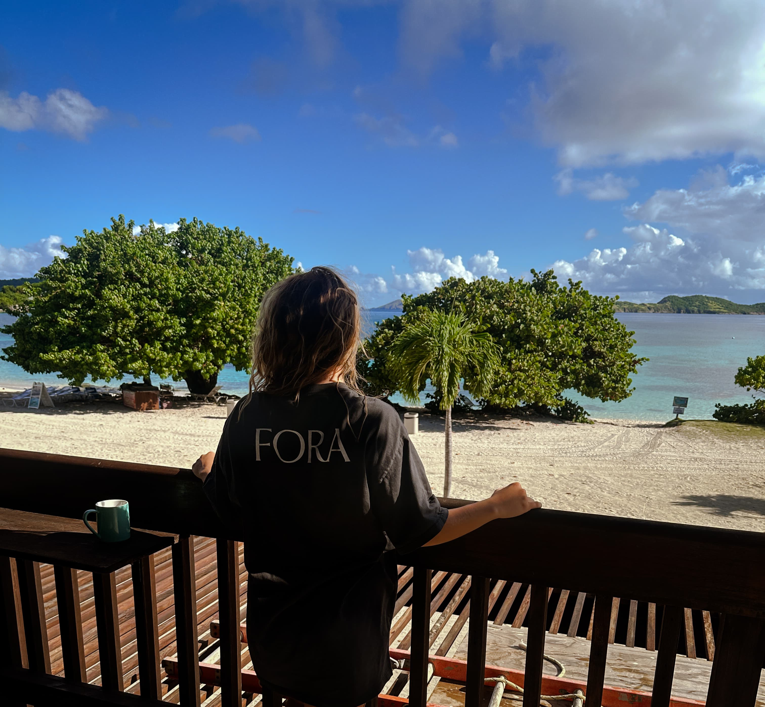 Advisor on a wooden balcony overlooking out towards the beach on a sunny day