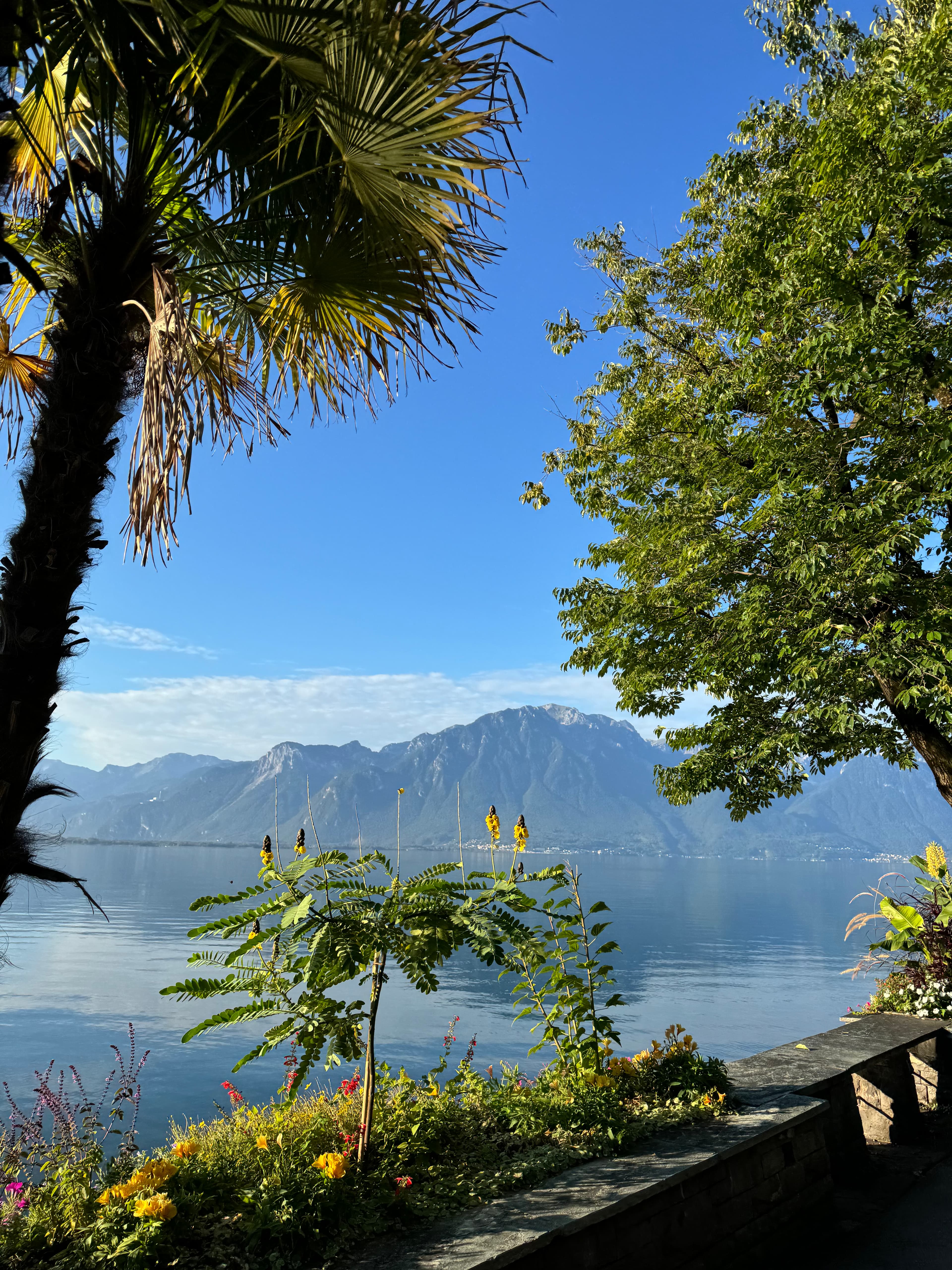 View of a beautiful lake with mountains in the distance on a sunny day