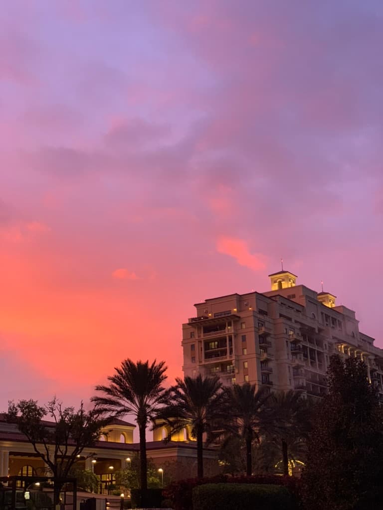 Picture of a pink and purple sunset over the Four Seasons Resort Orlando at Walt Disney World Resort surrounded by palm trees