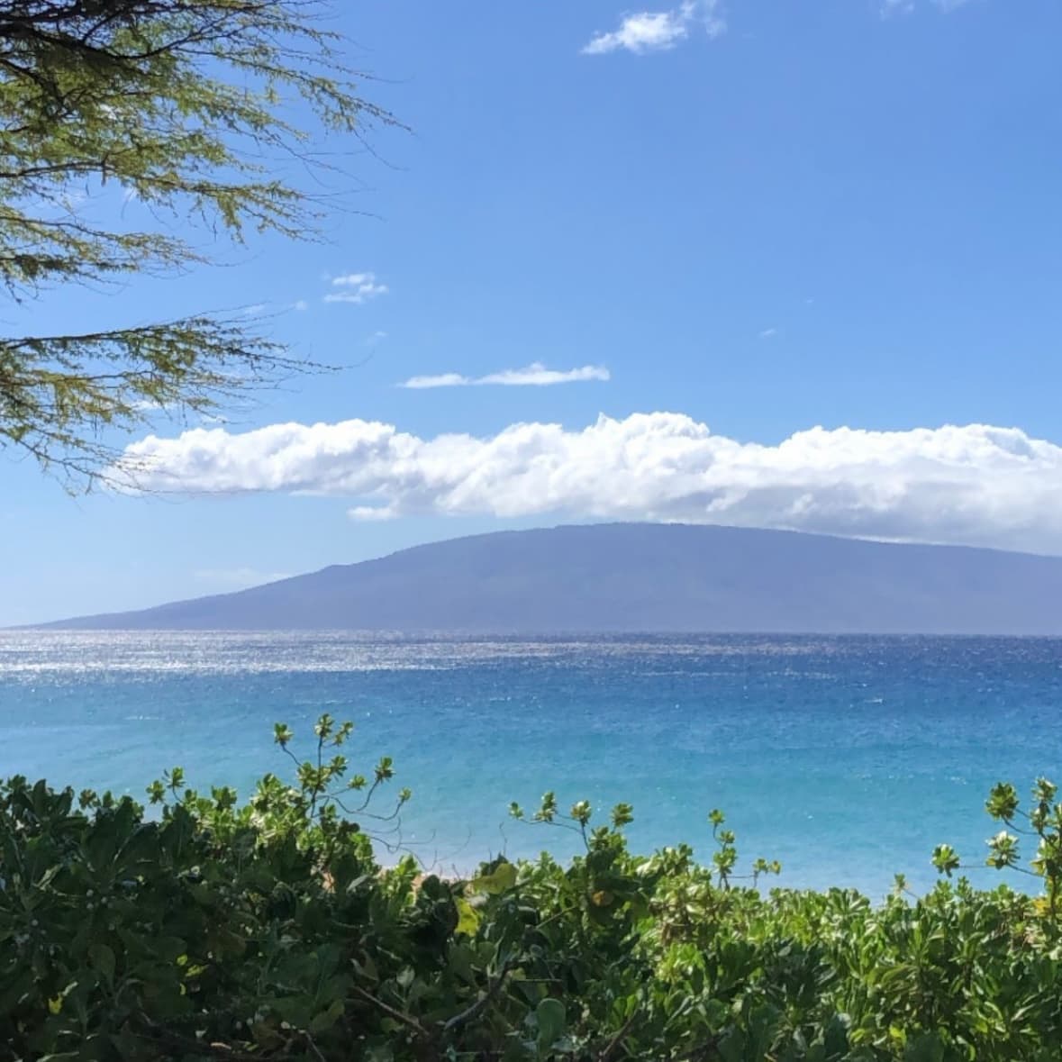 A sunny day view of the lake