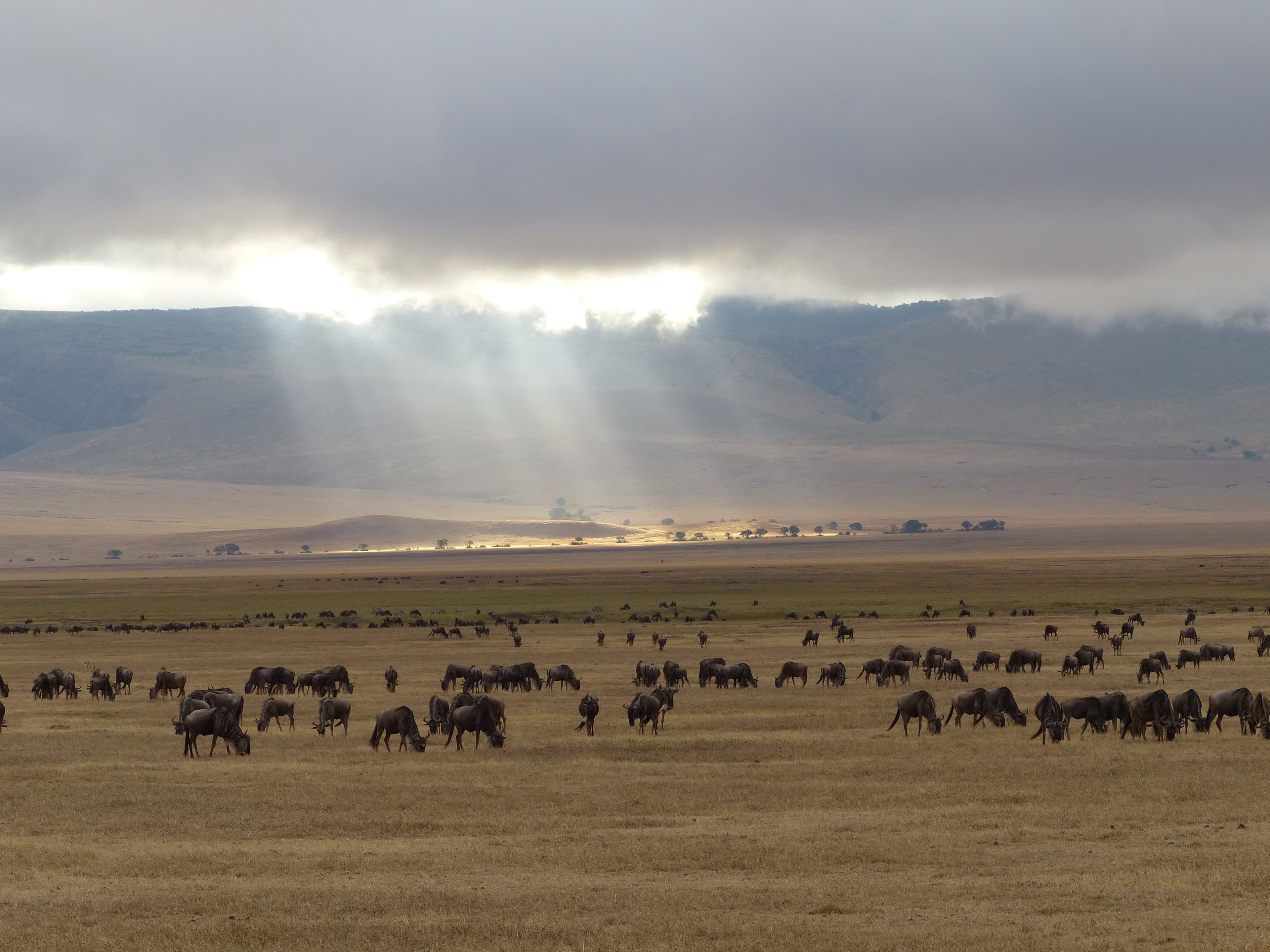 Picture of Rita eating Sardine Tavira Portugal