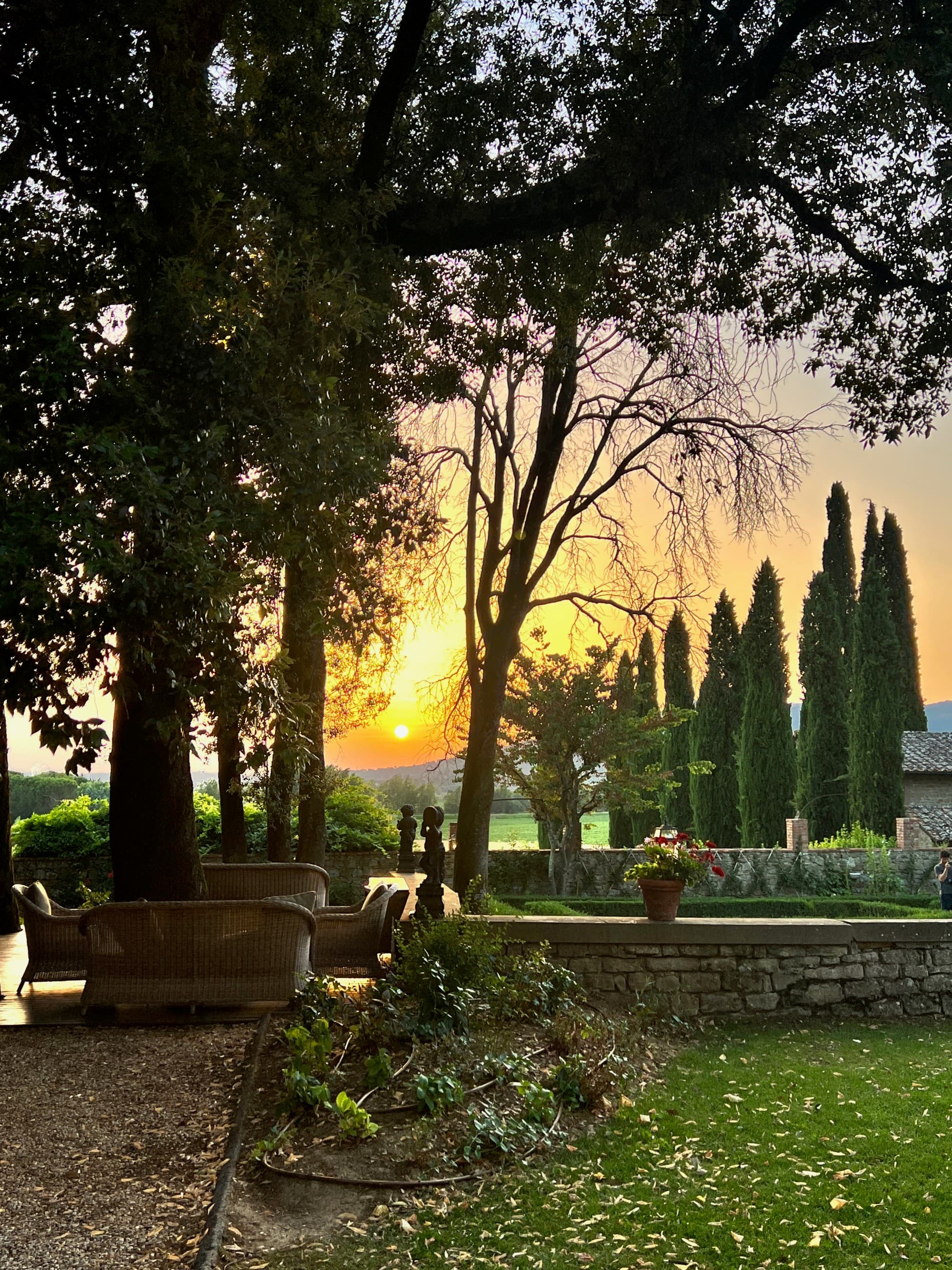 A lush courtyard at dusk.