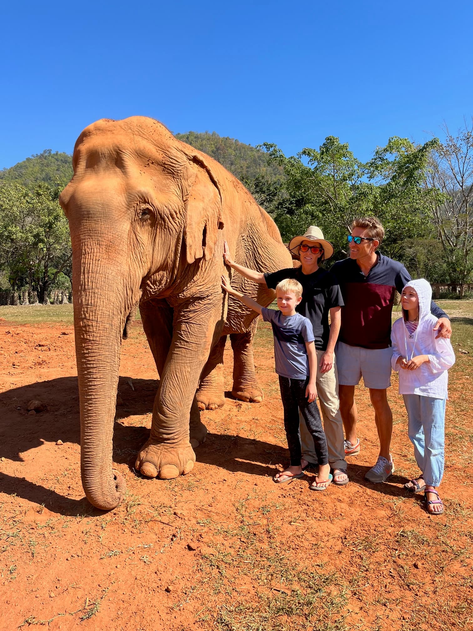 Family enjoying an elephant ride