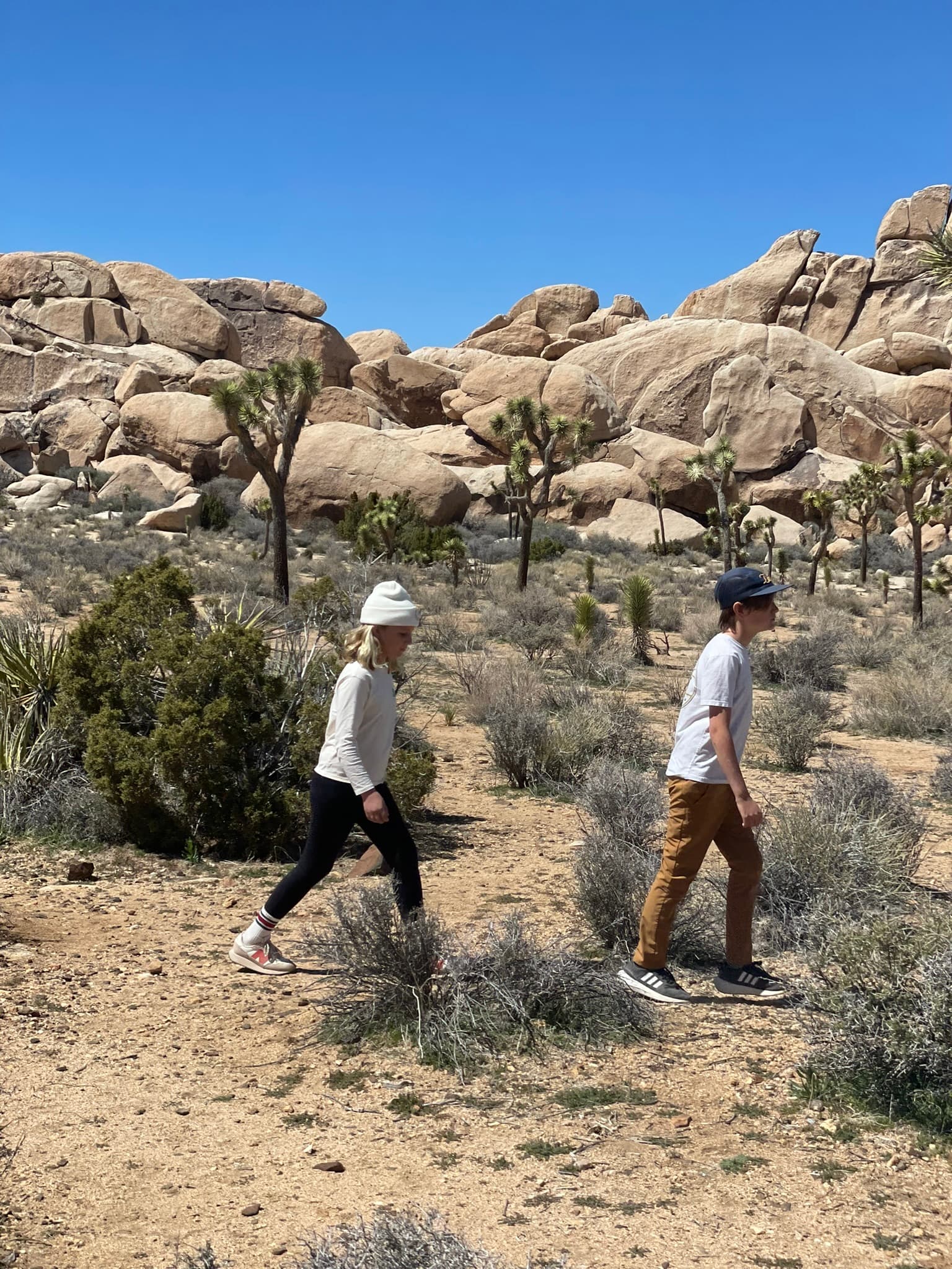 Exploring Joshua Tree on foot