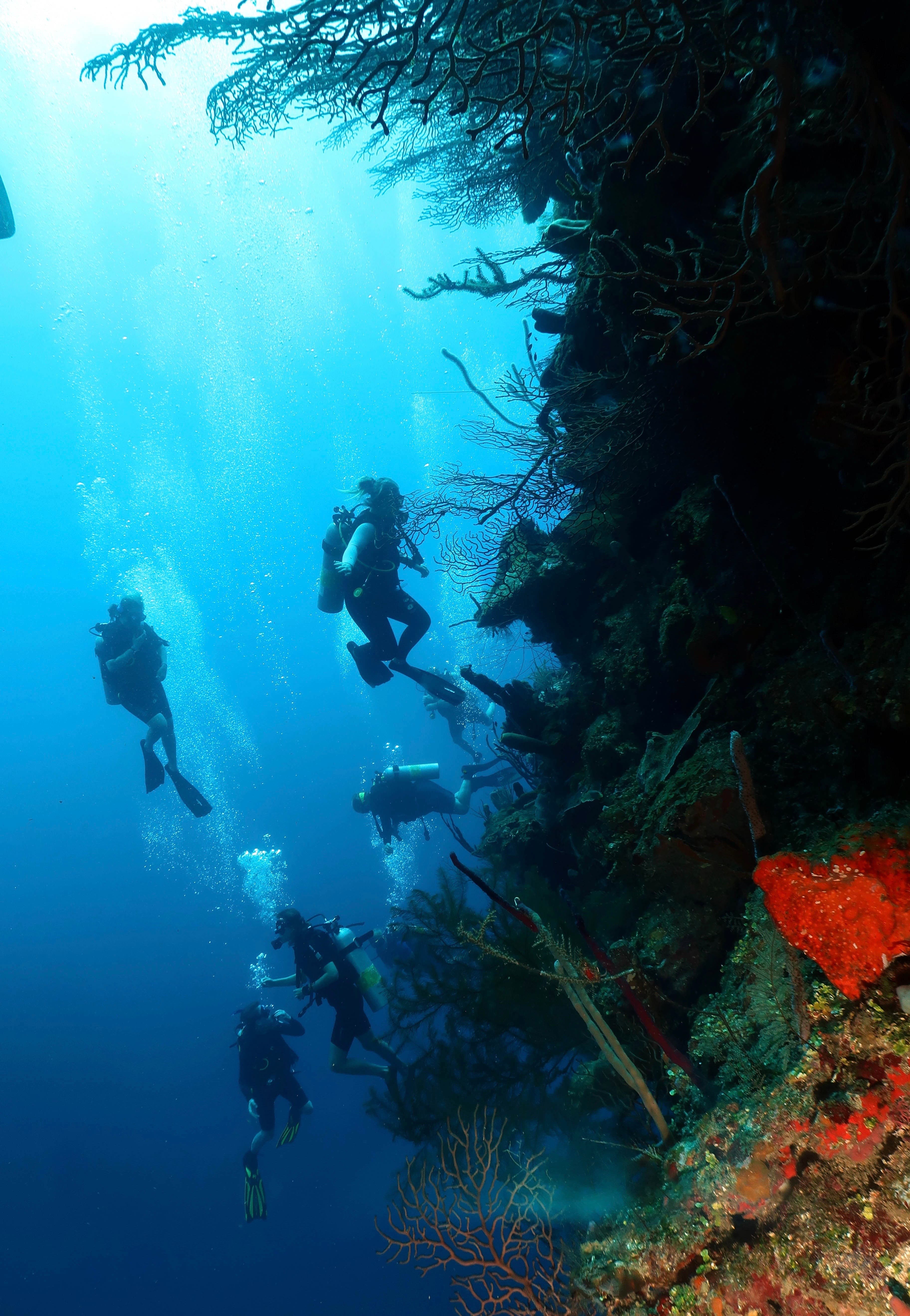 Picture of people deep diving