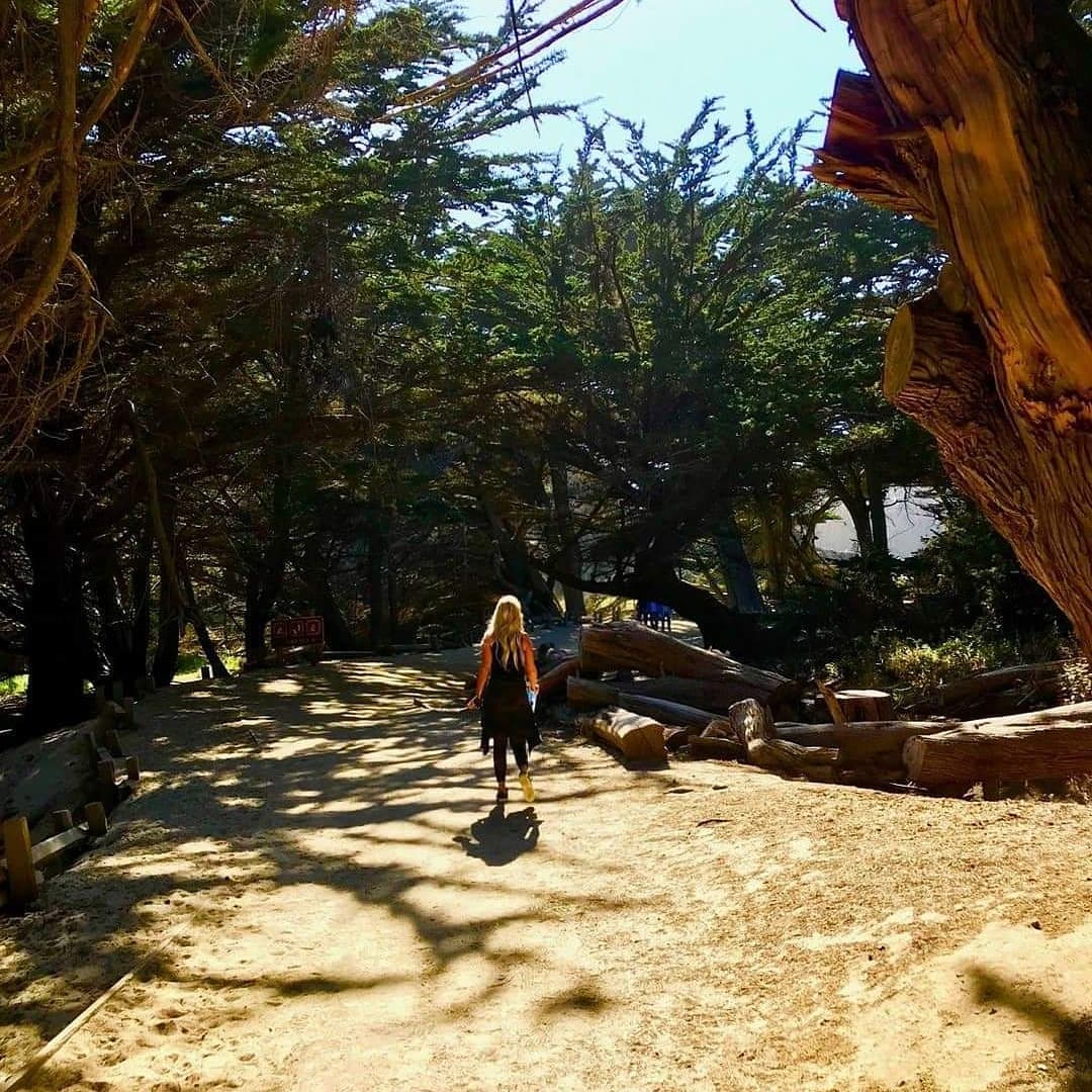 Under the shade of green trees