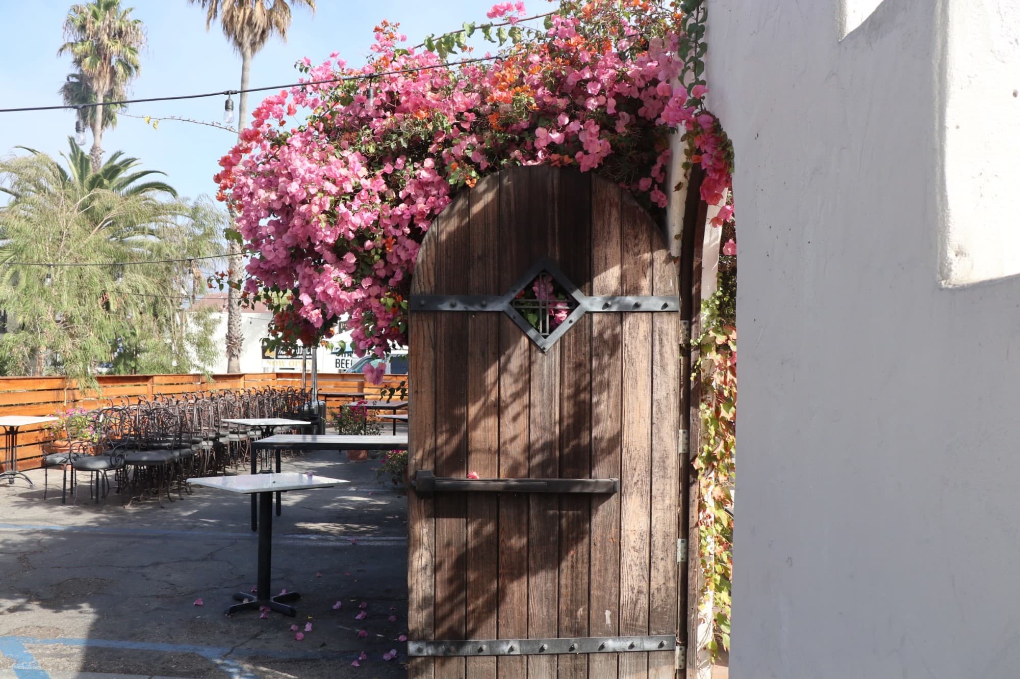 A hedge of pink flowers over a wooden door.