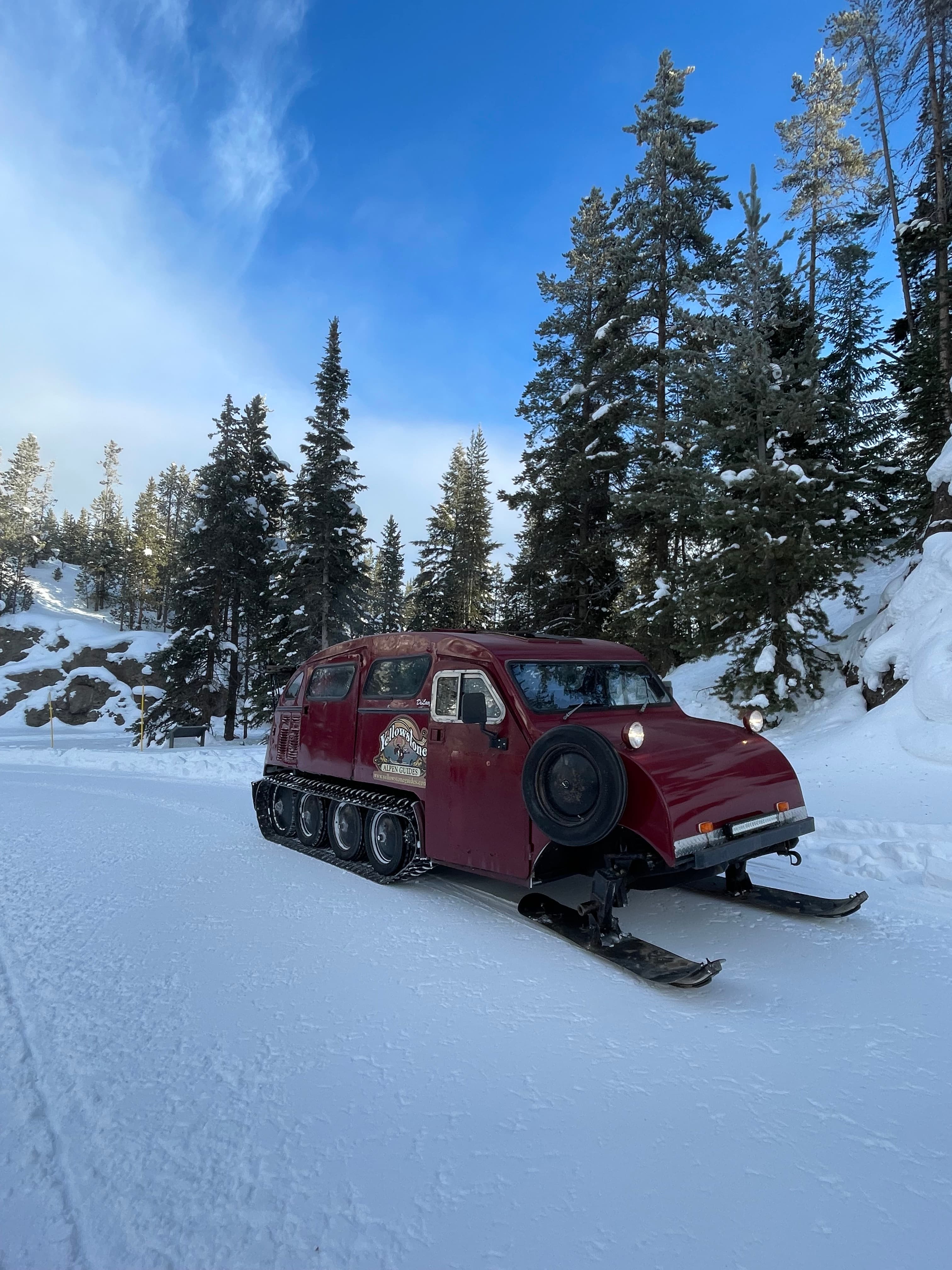 A red truck in the snow surrounded by pine trees on a sunny day