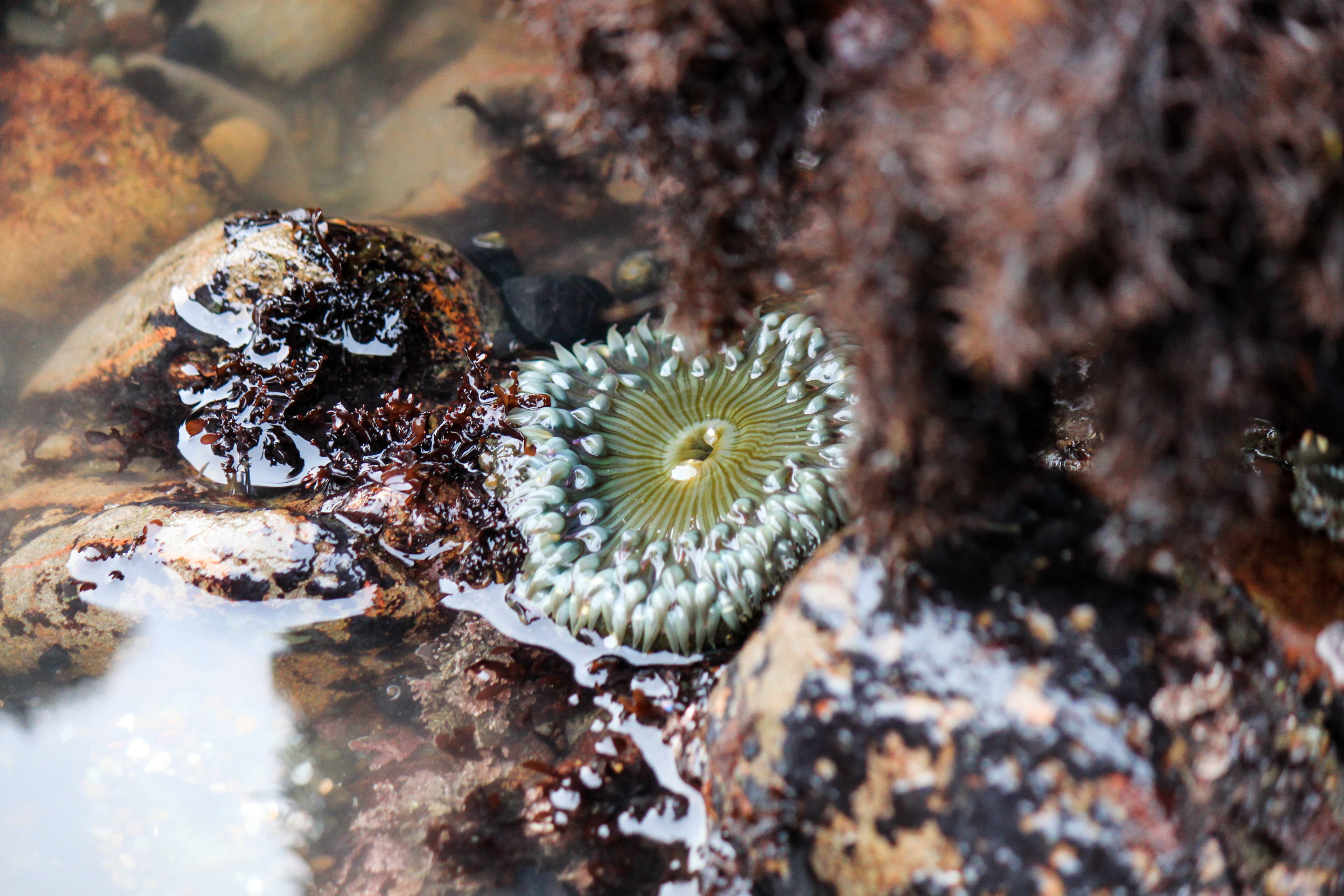 Beautiful aerial view