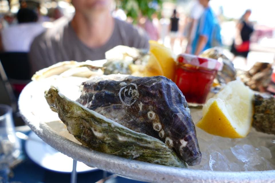 Oysters on a platter with lemon slices.