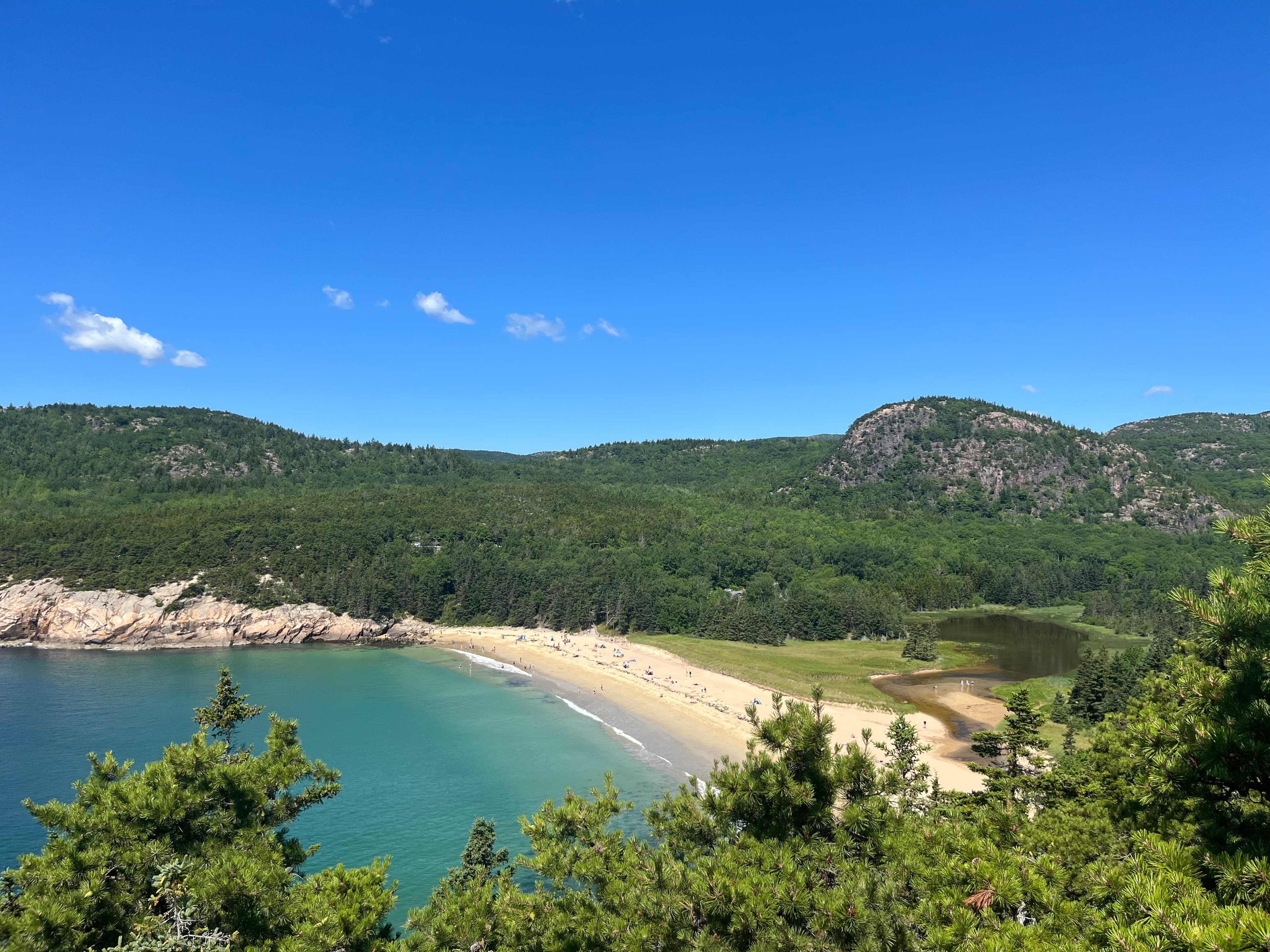 View of a beach with lush green forest surrounding it